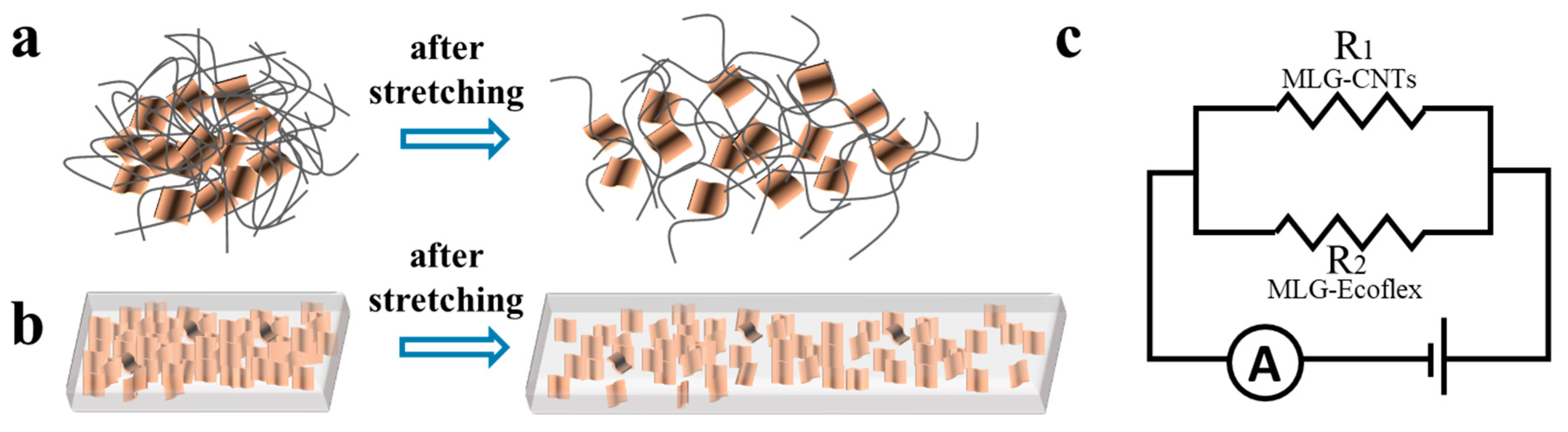 Preprints 90919 g006