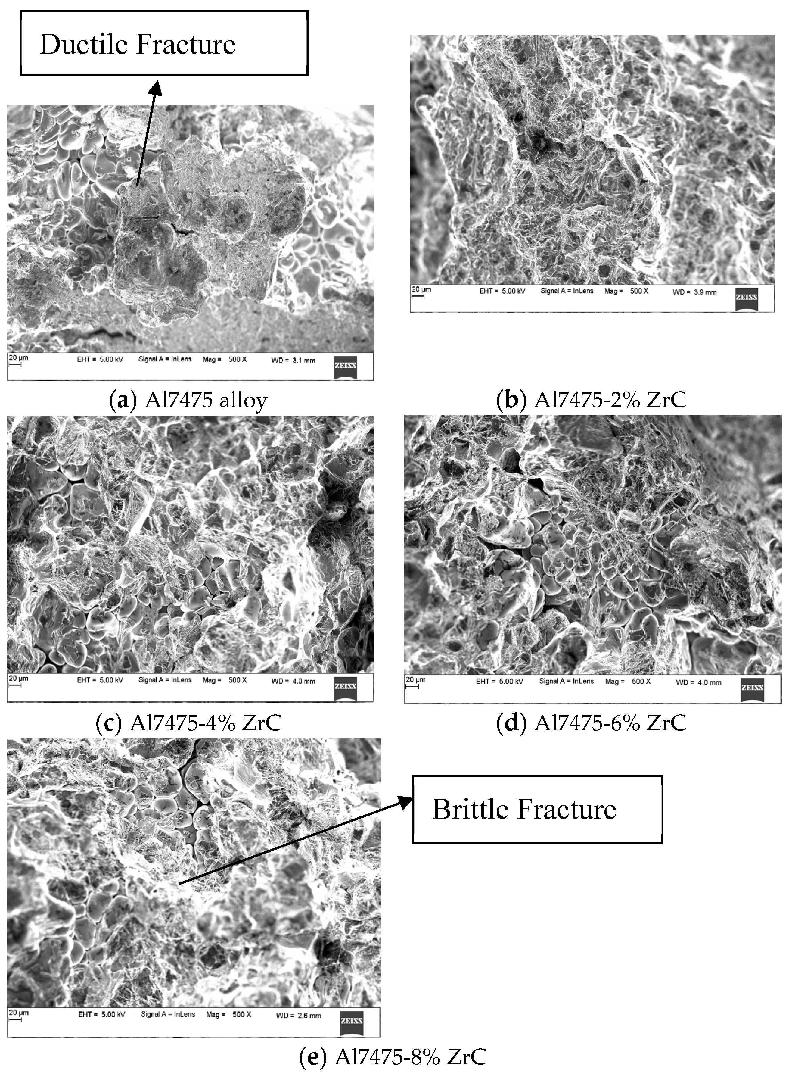 Preprints 118395 g014