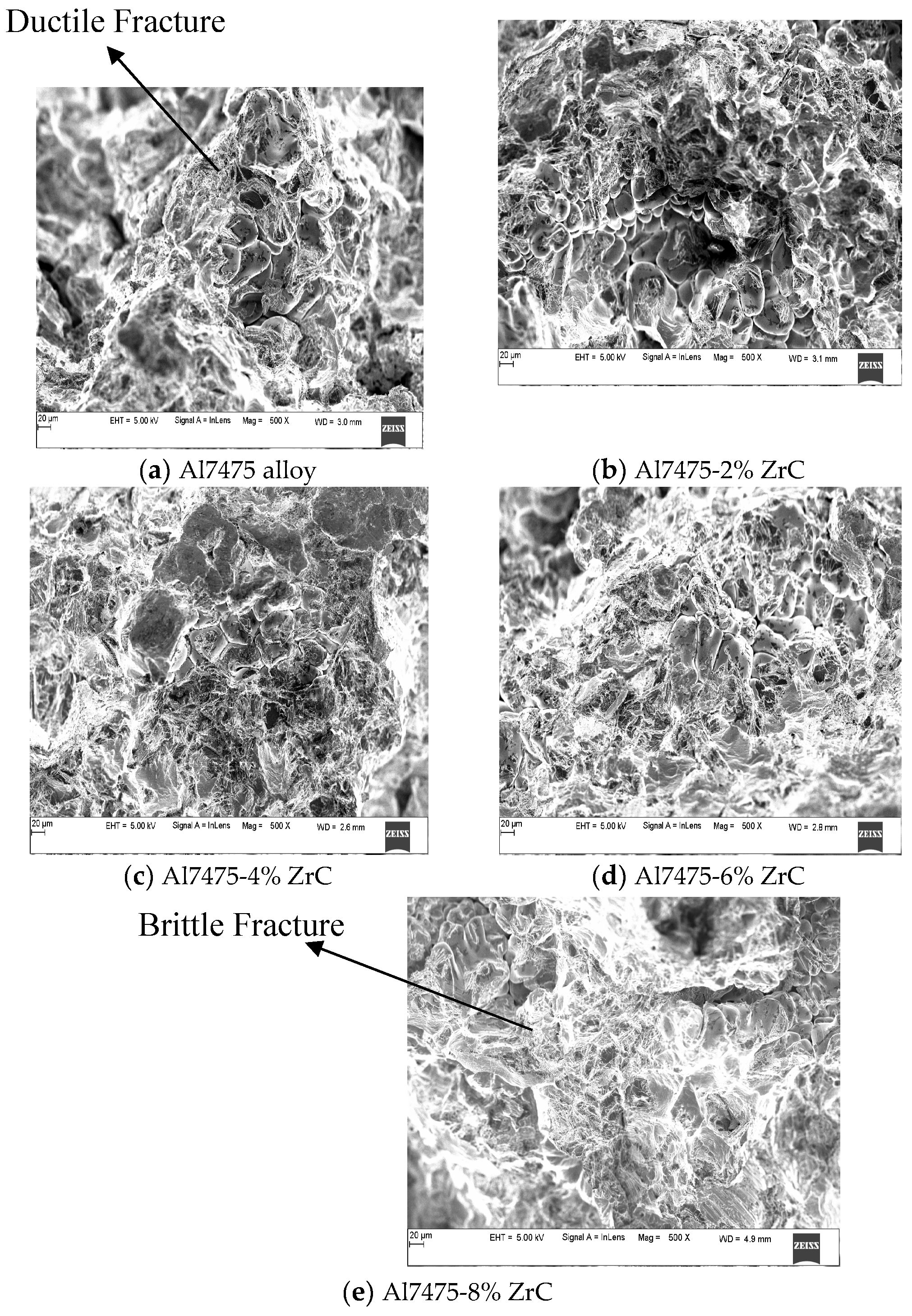 Preprints 118395 g015