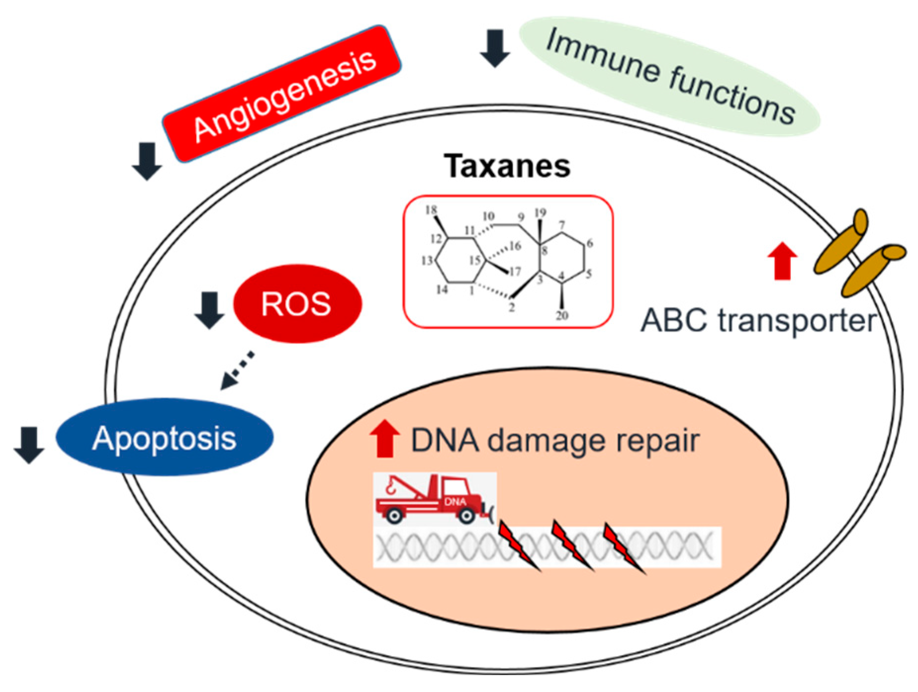 Preprints 85889 g001