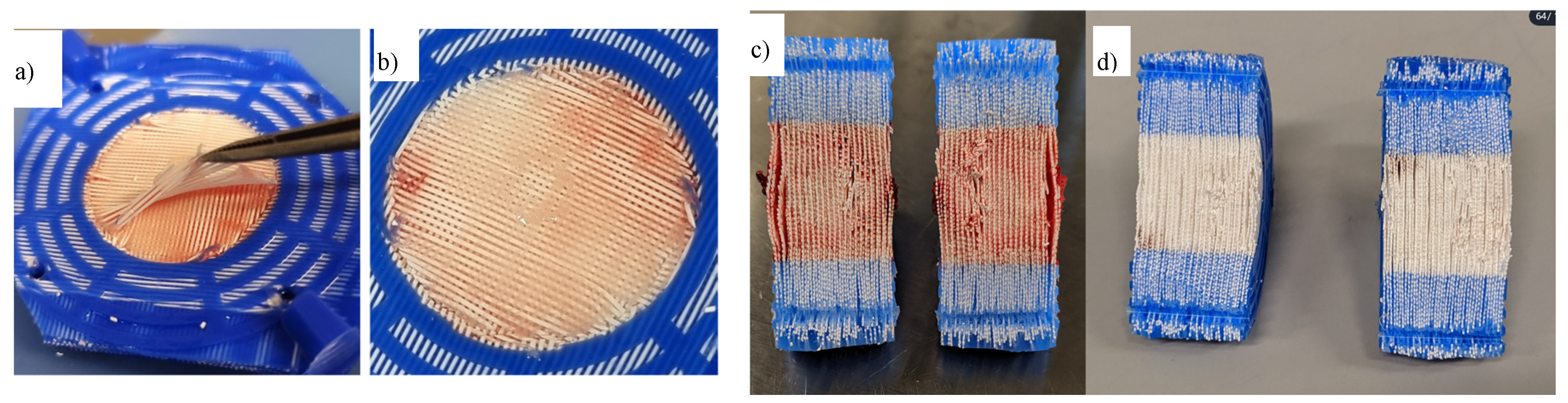 Preprints 68926 g004