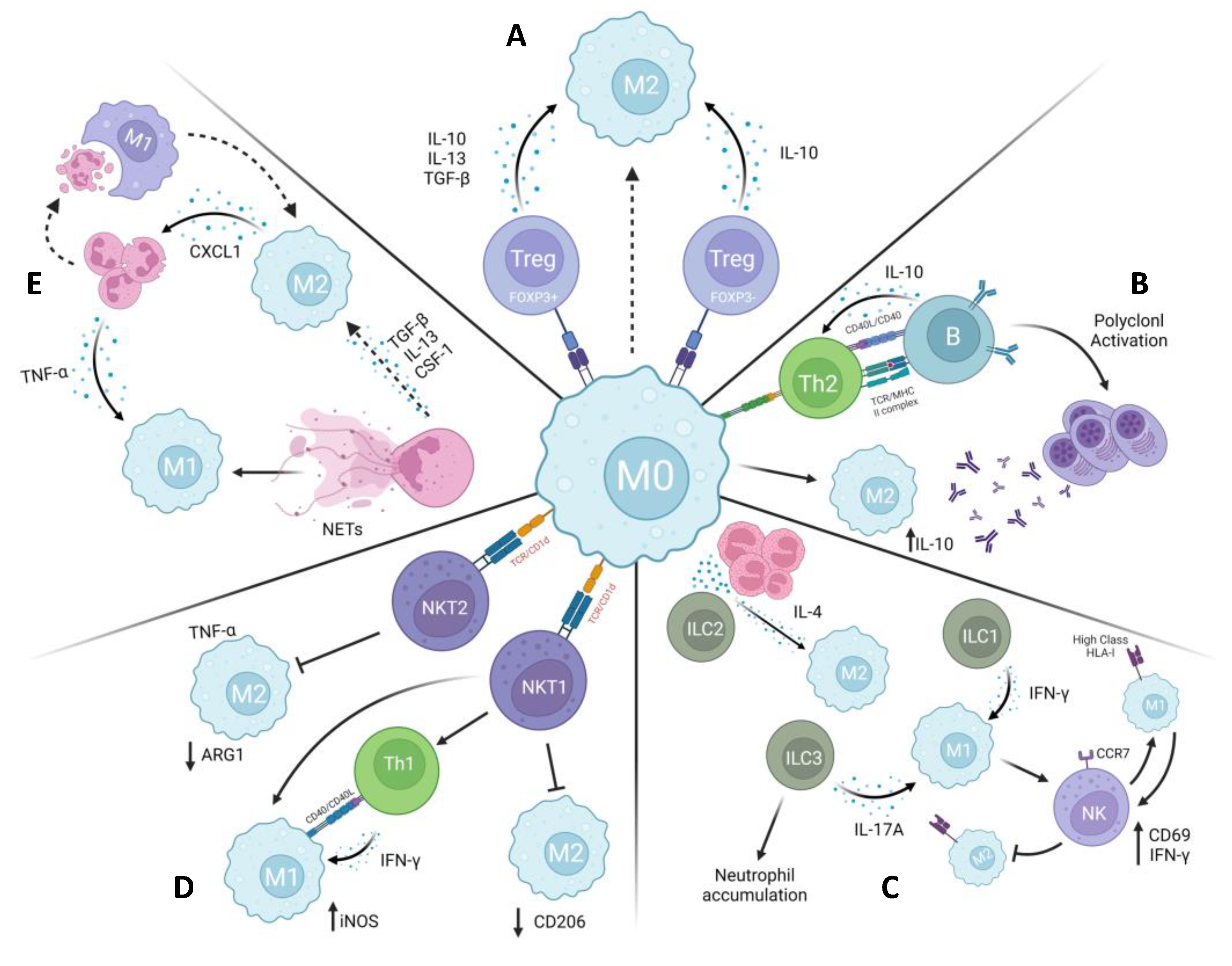 Preprints 71745 g003