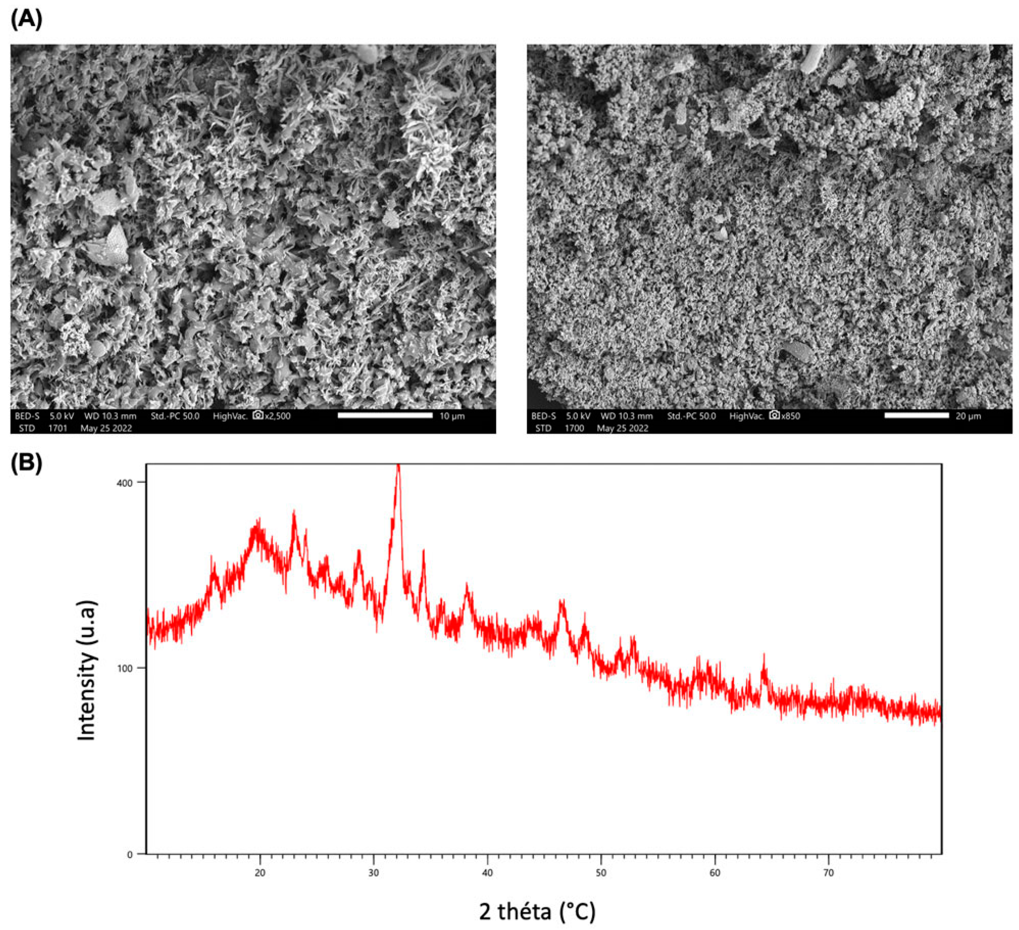 Preprints 122107 g005