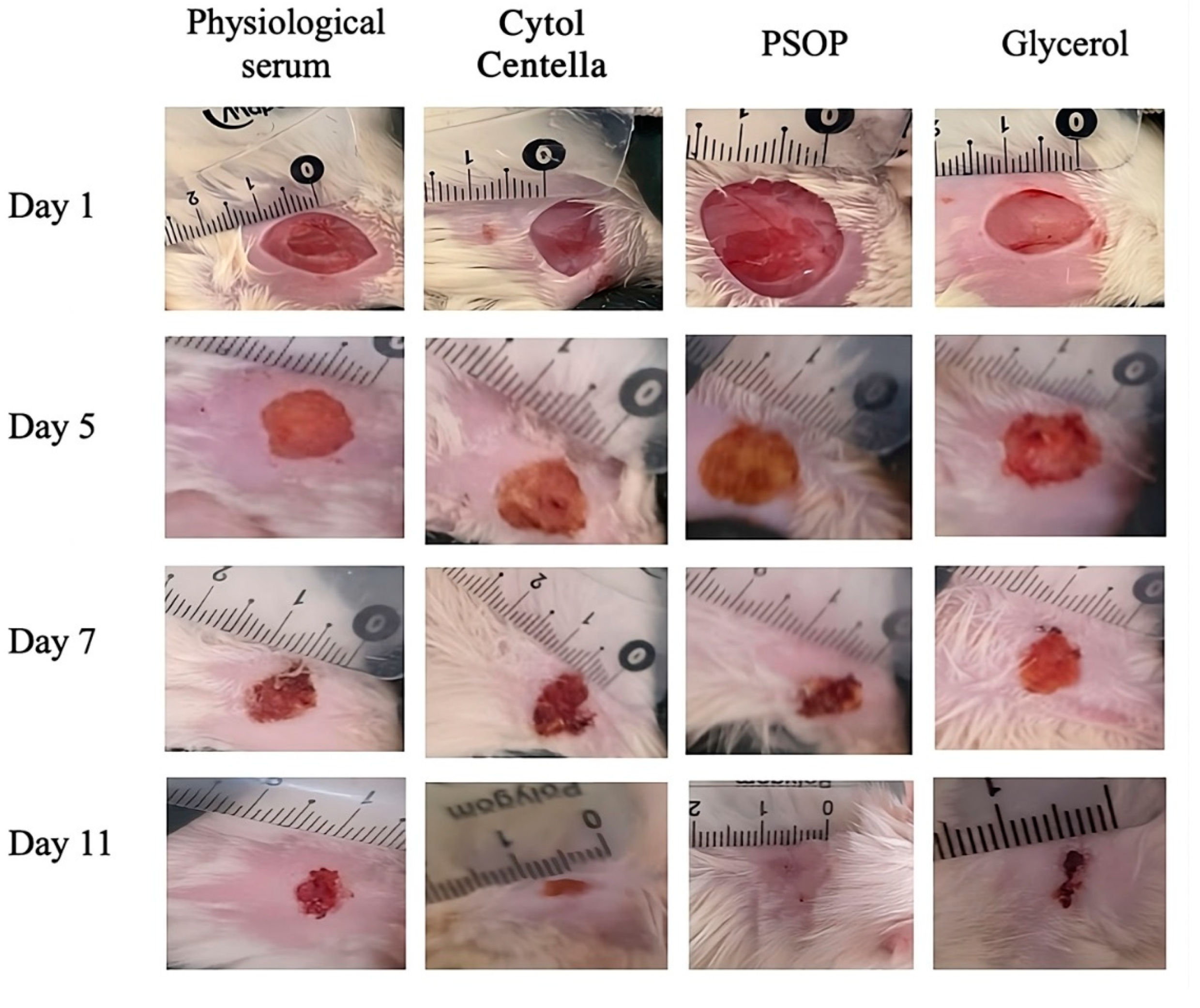 Preprints 122107 g009