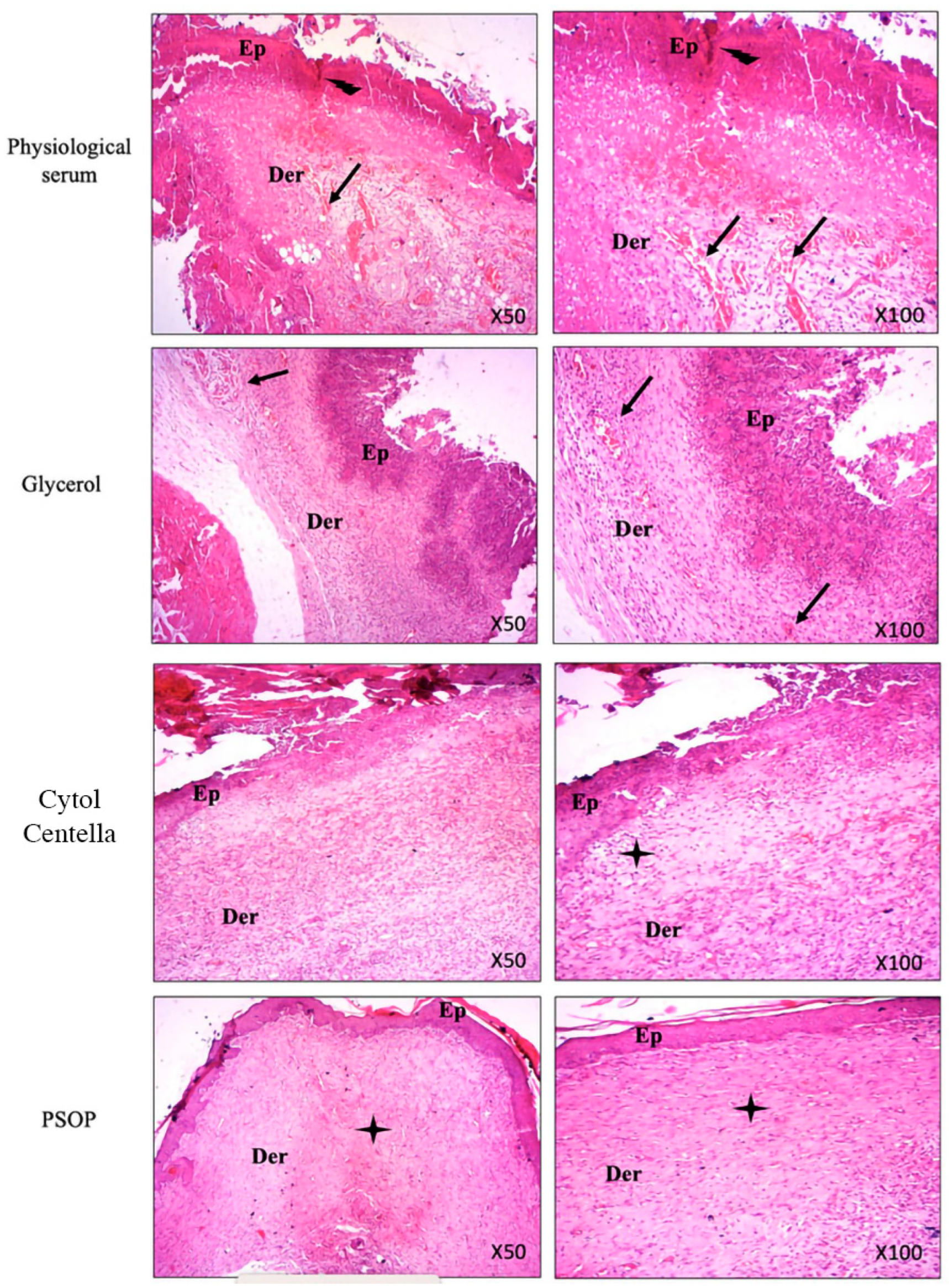 Preprints 122107 g012