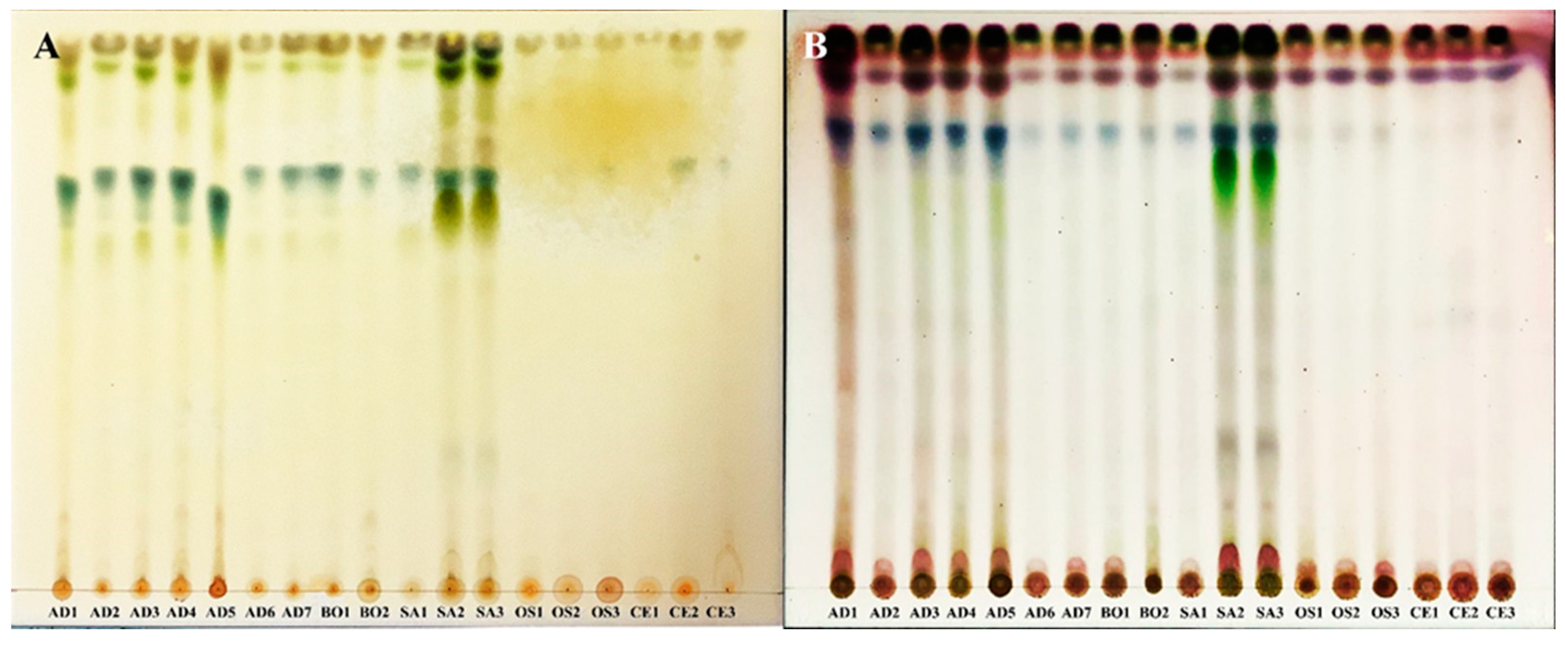 Preprints 89986 g001