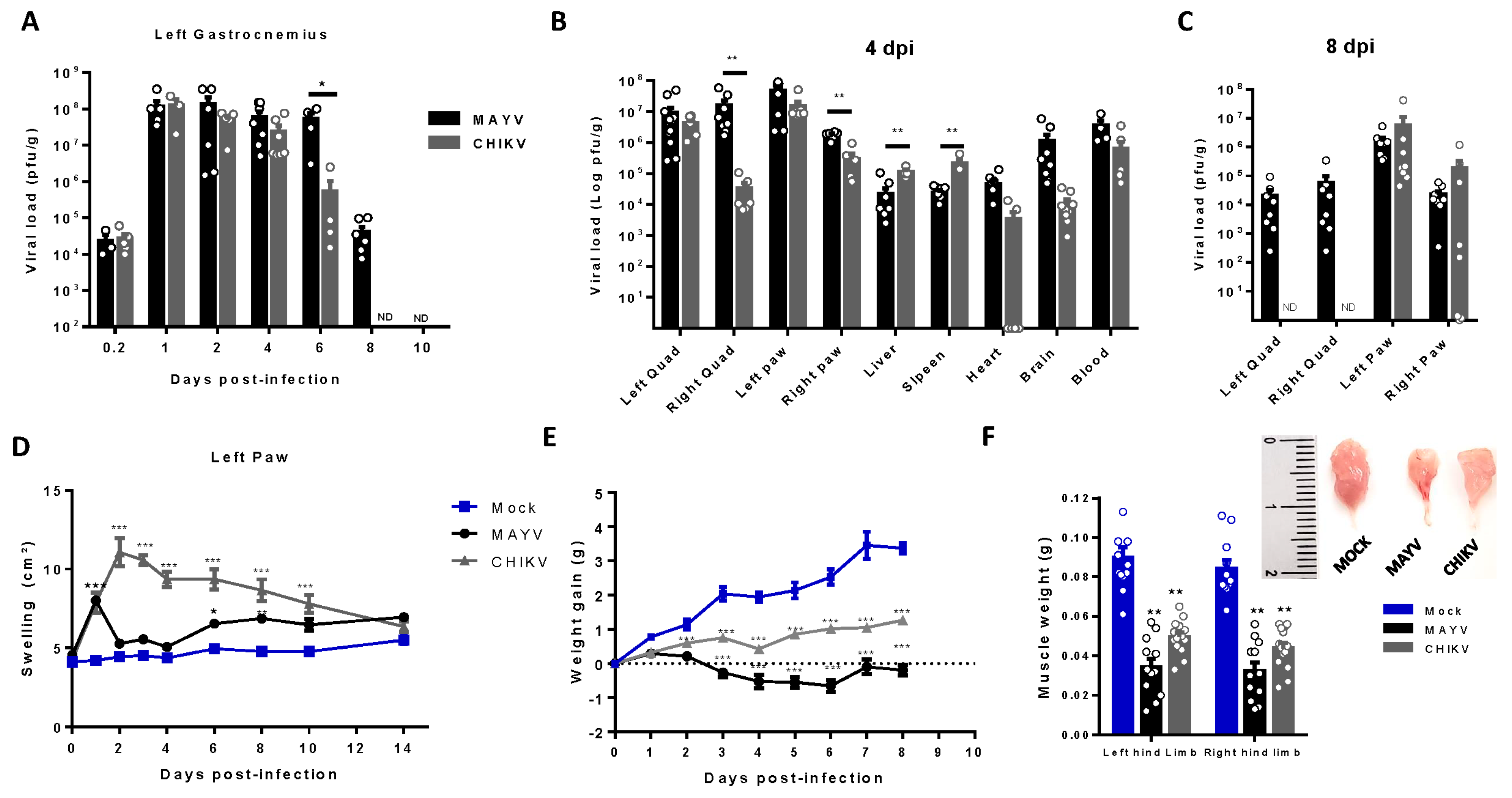 Preprints 109944 g001