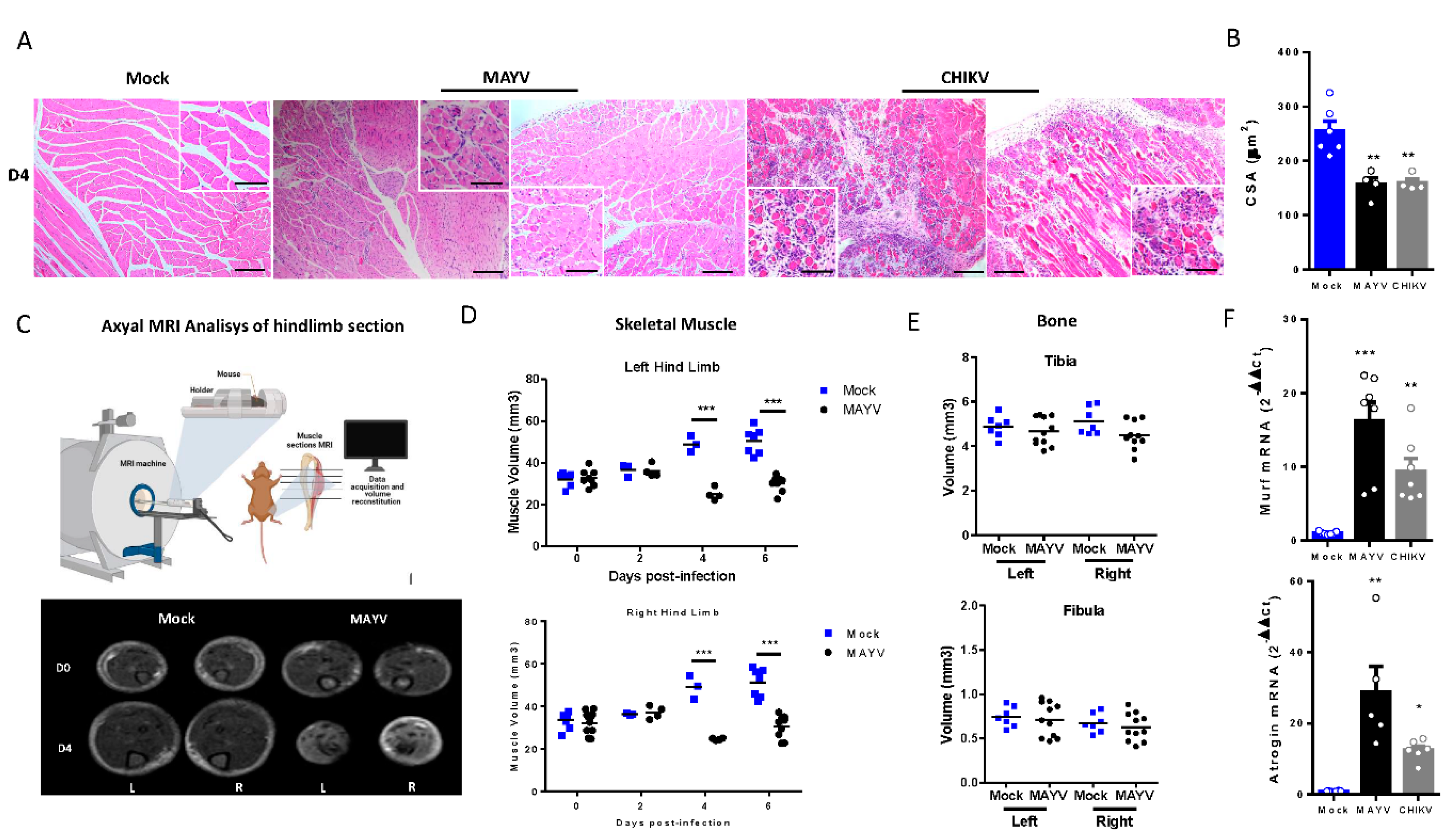 Preprints 109944 g002