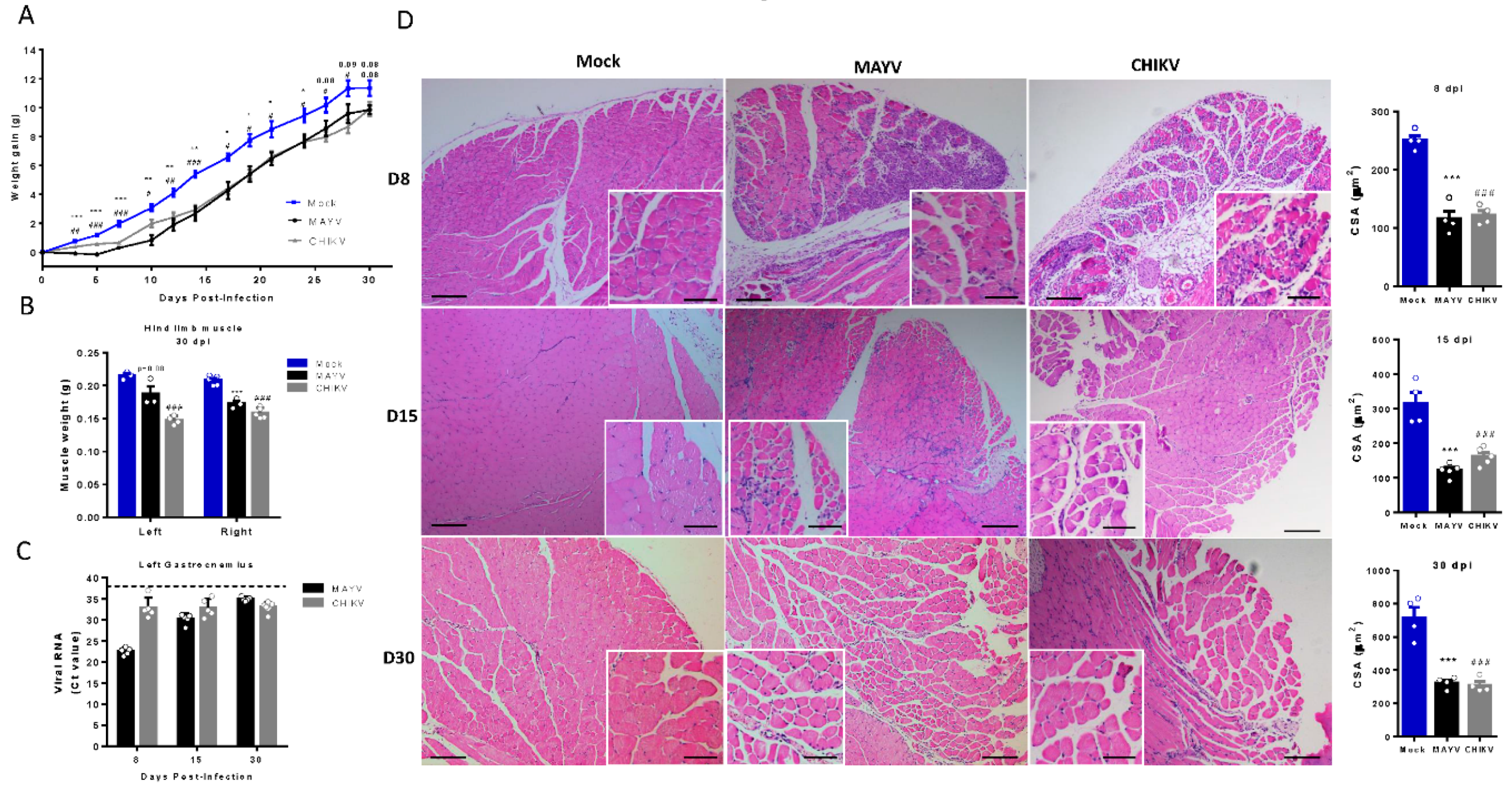 Preprints 109944 g003