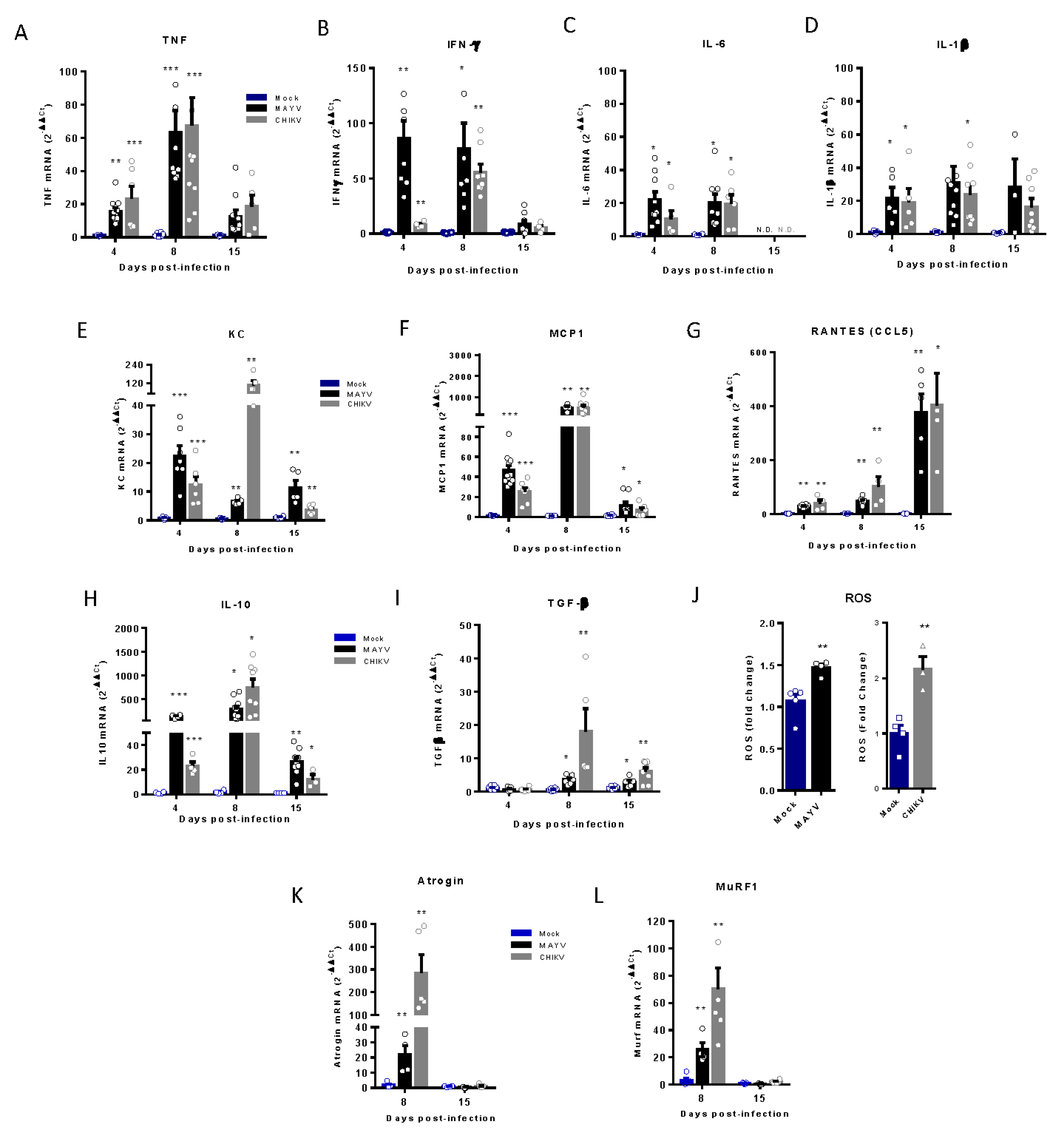 Preprints 109944 g004