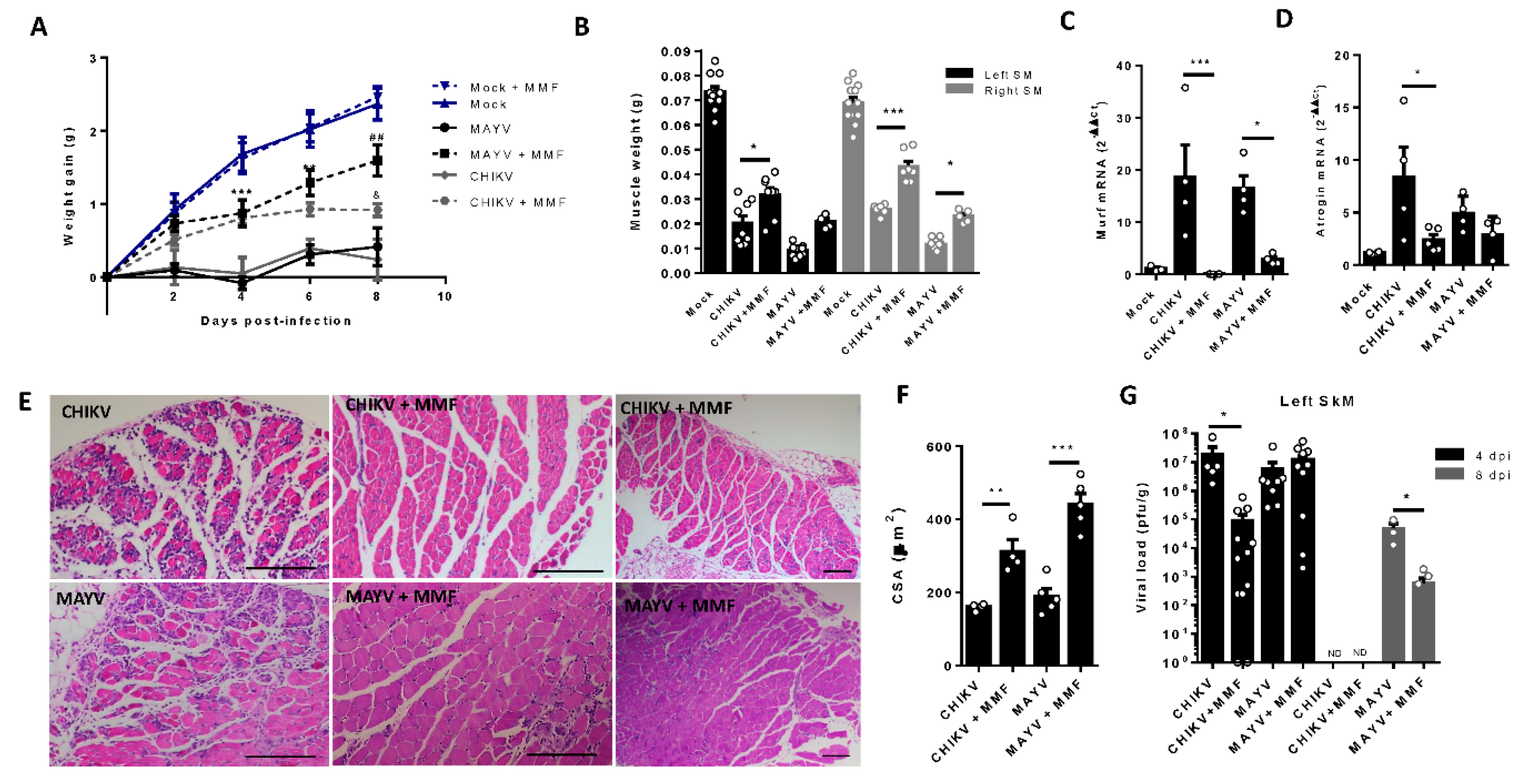 Preprints 109944 g006