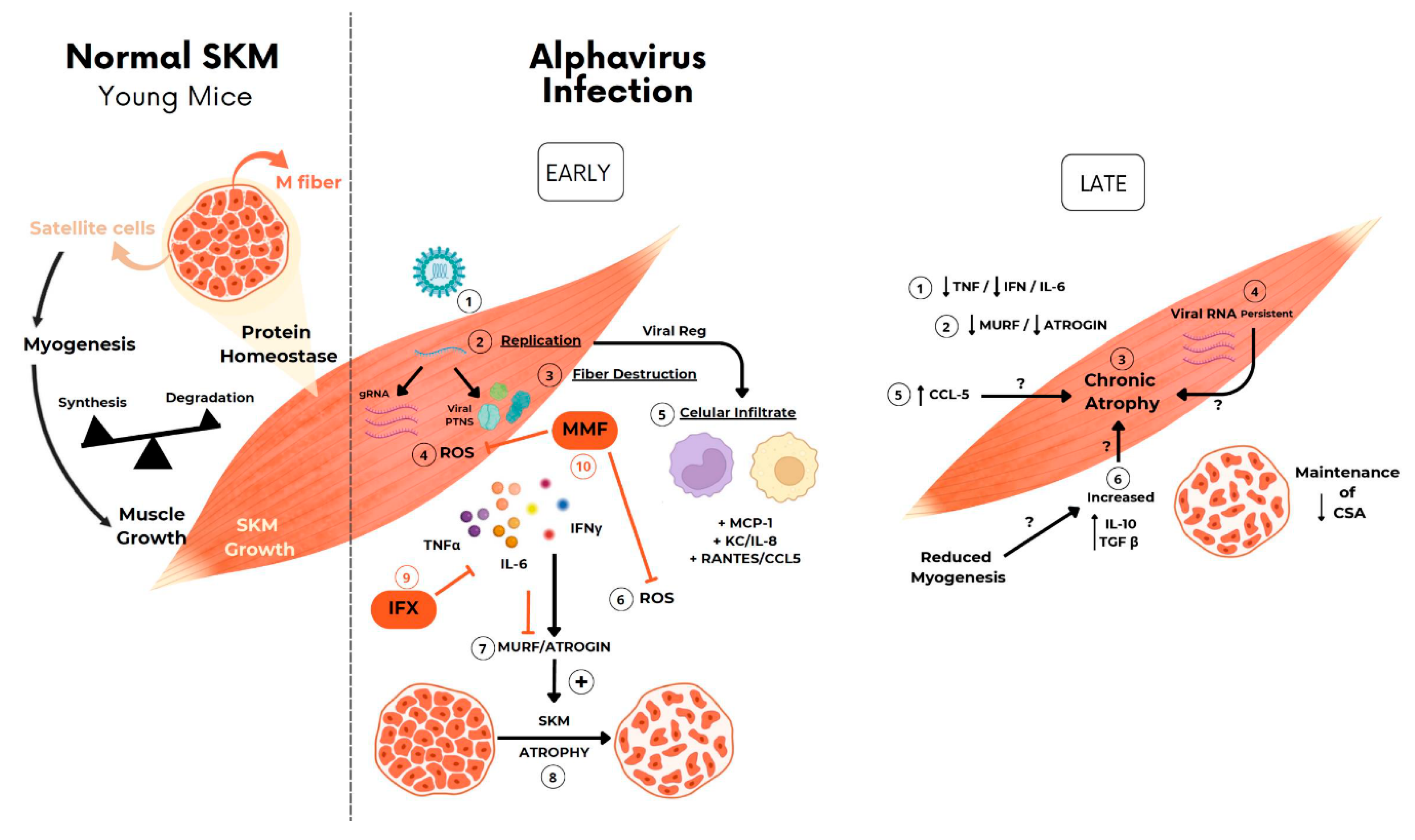 Preprints 109944 g007