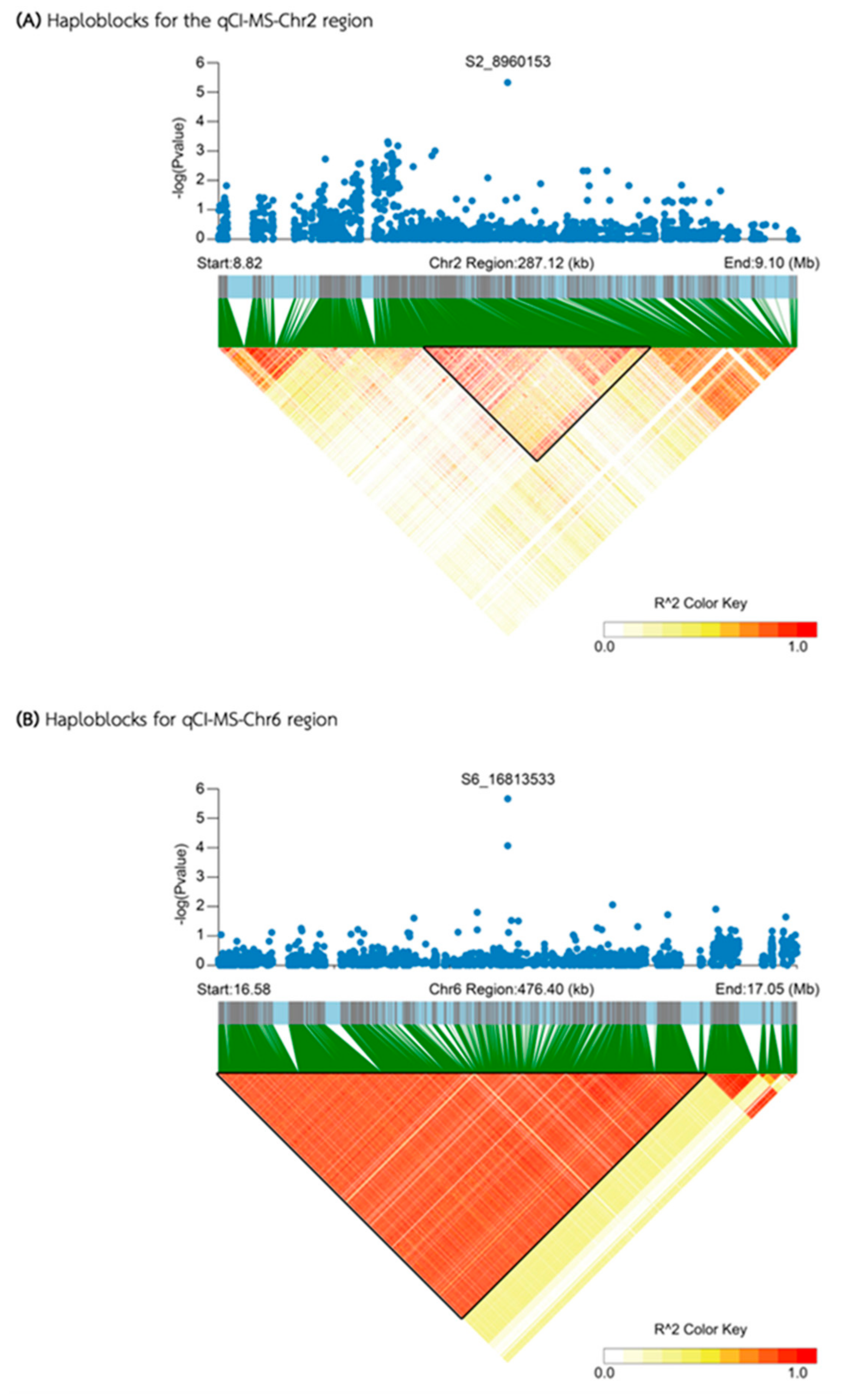 Preprints 110871 g006