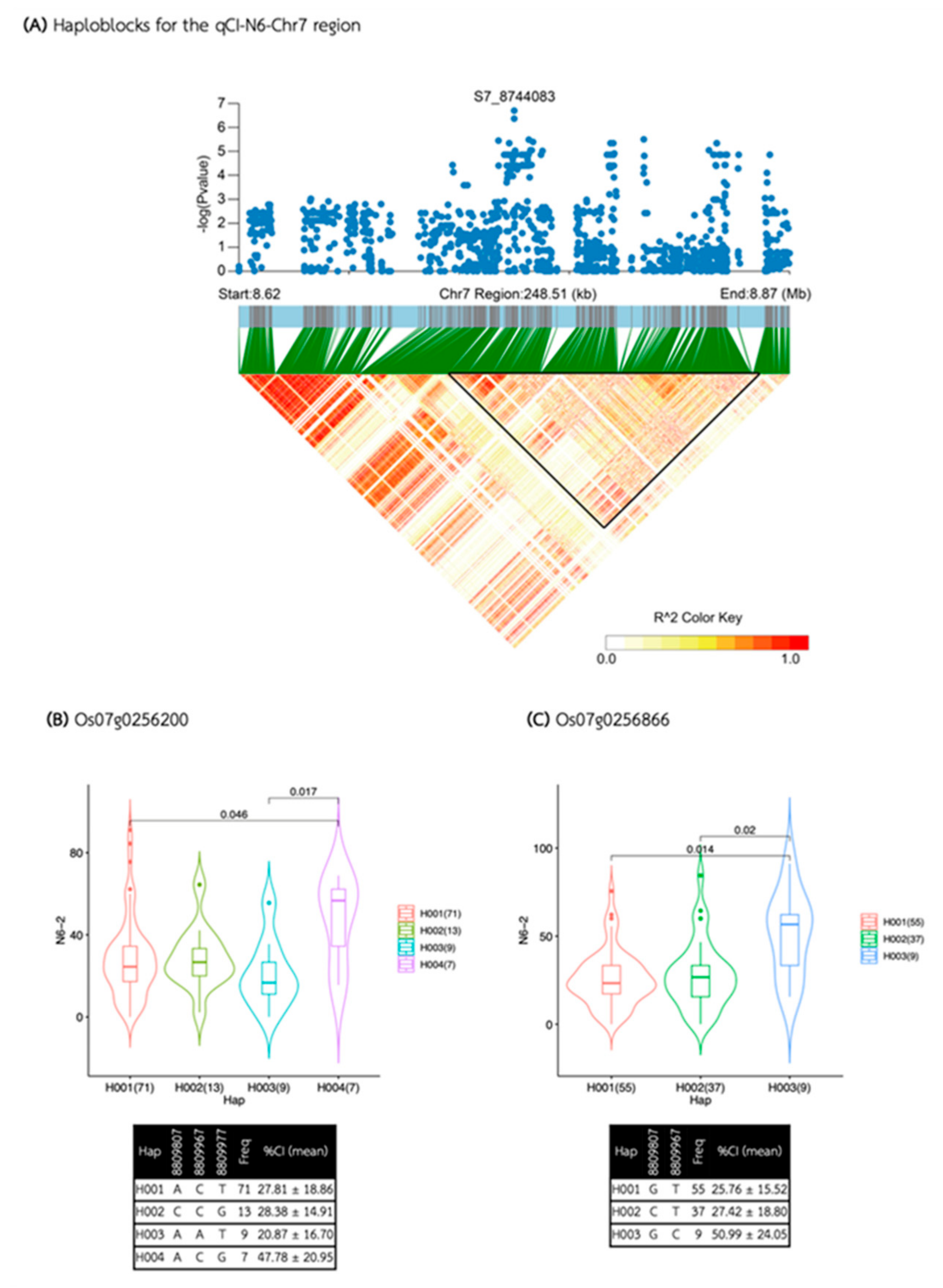 Preprints 110871 g009