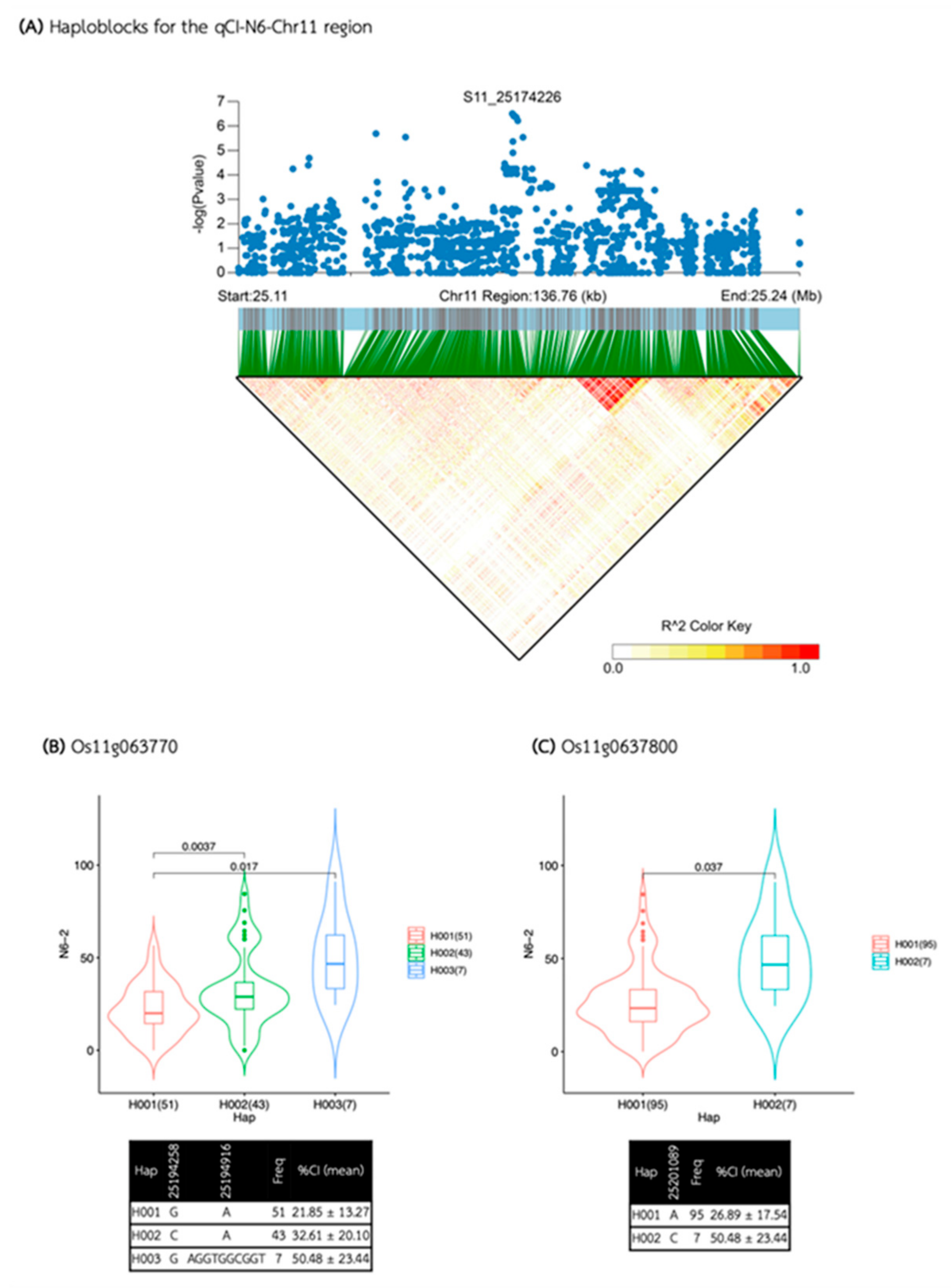 Preprints 110871 g010