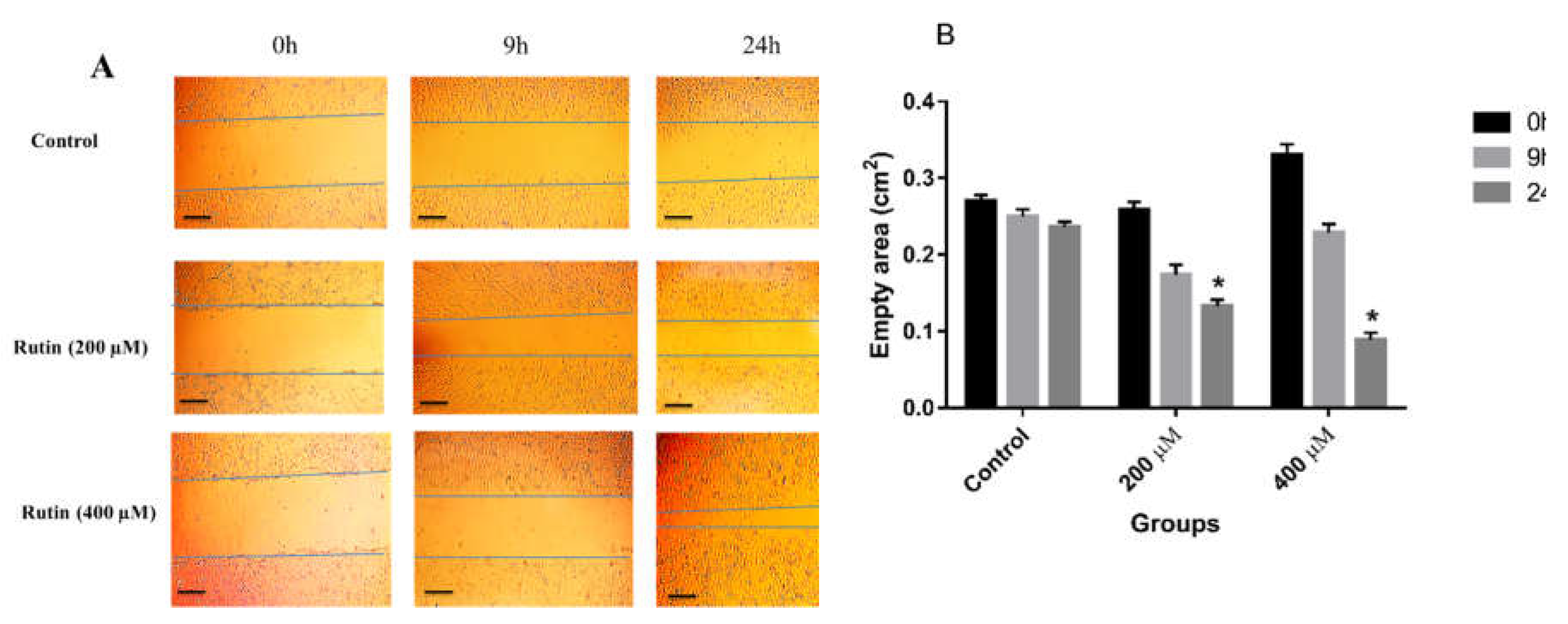 Preprints 74210 g003