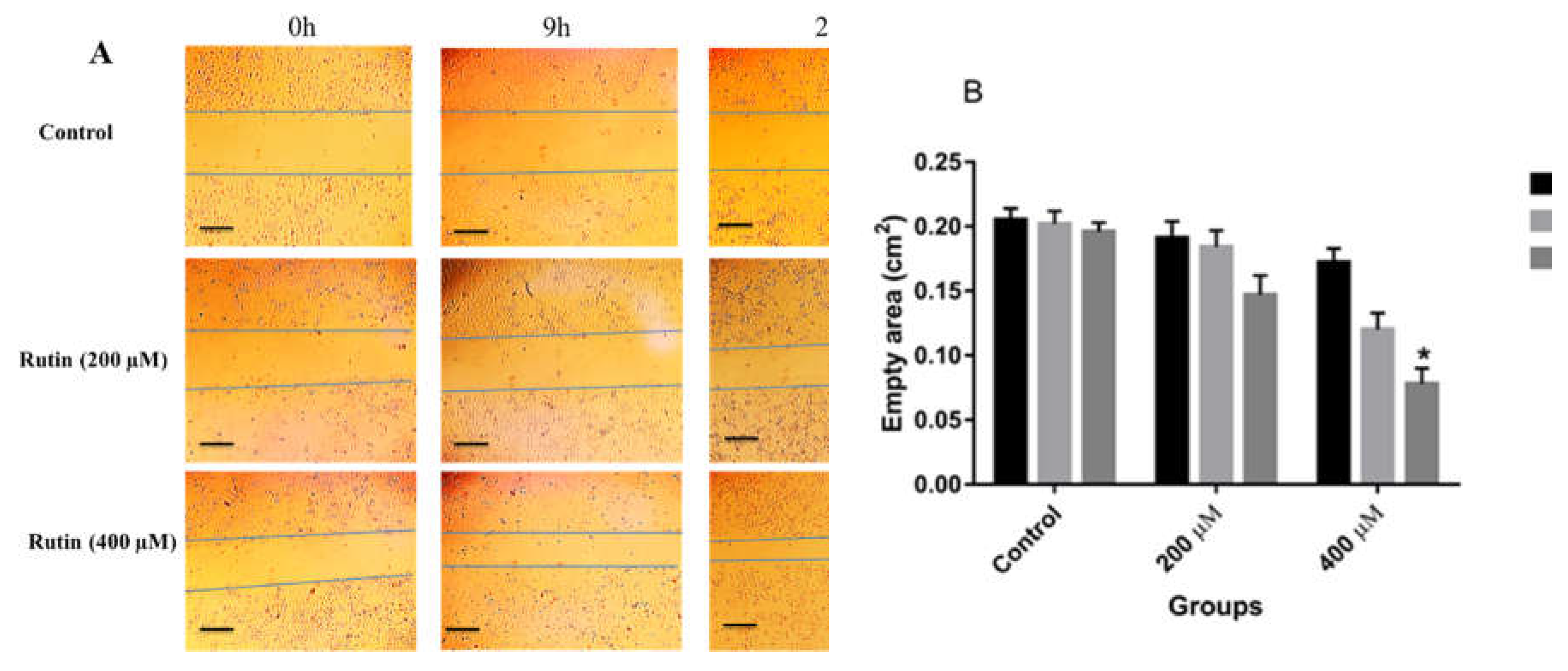 Preprints 74210 g004