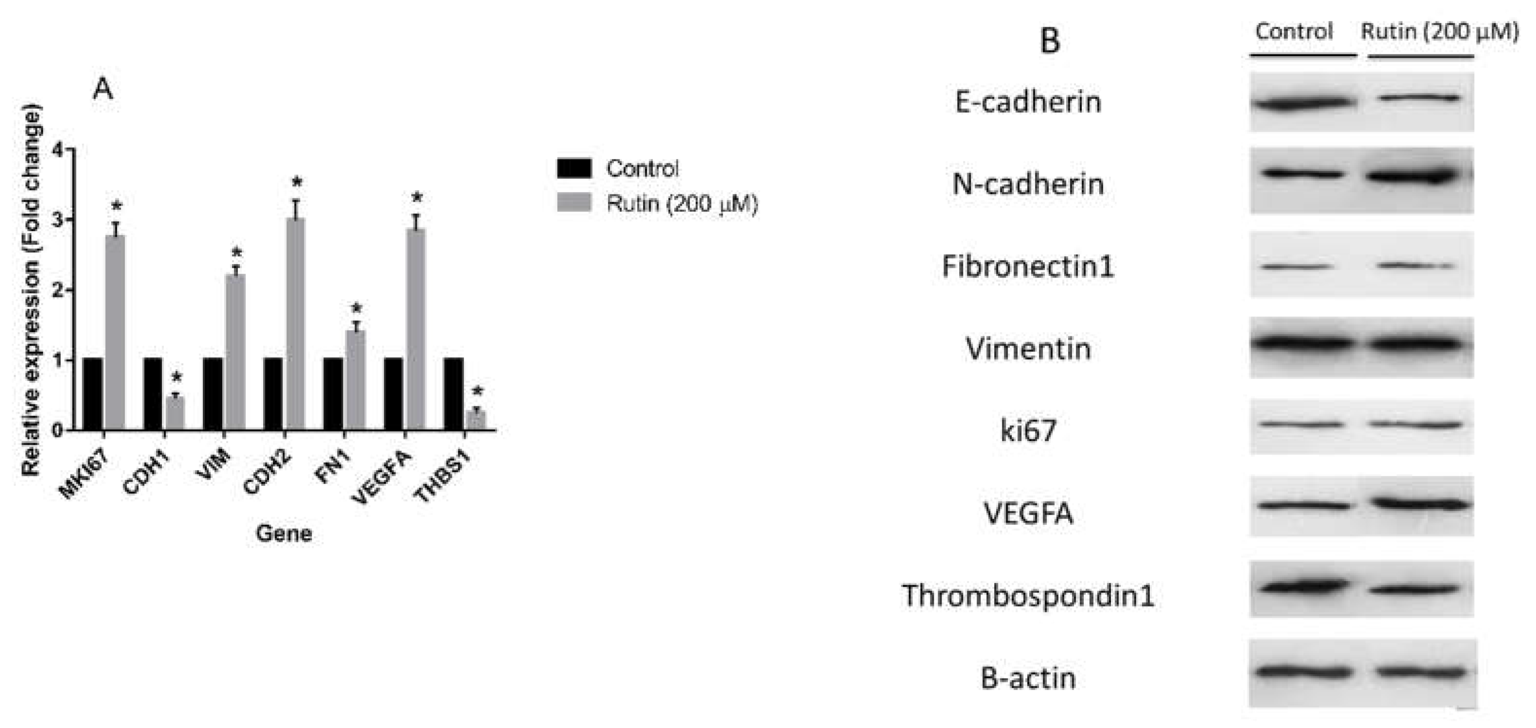 Preprints 74210 g005