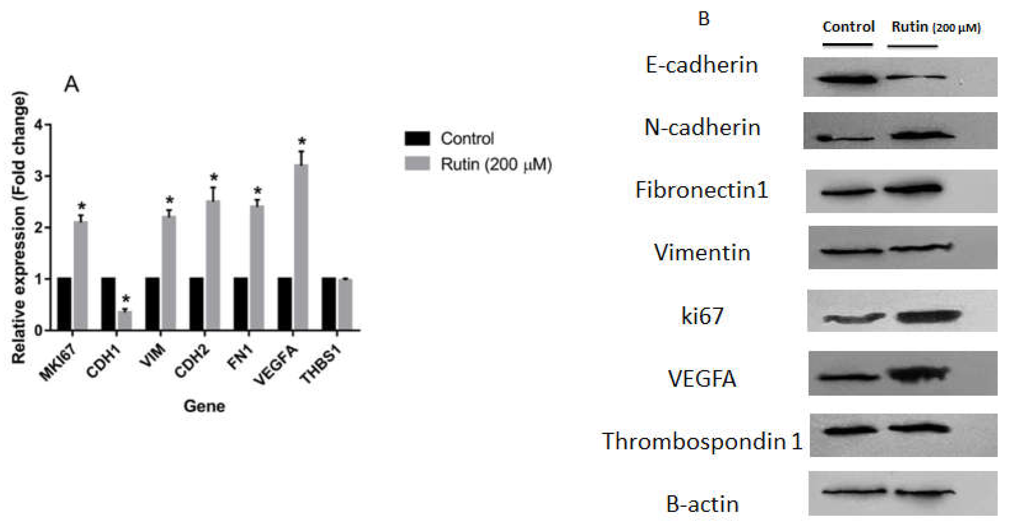 Preprints 74210 g006