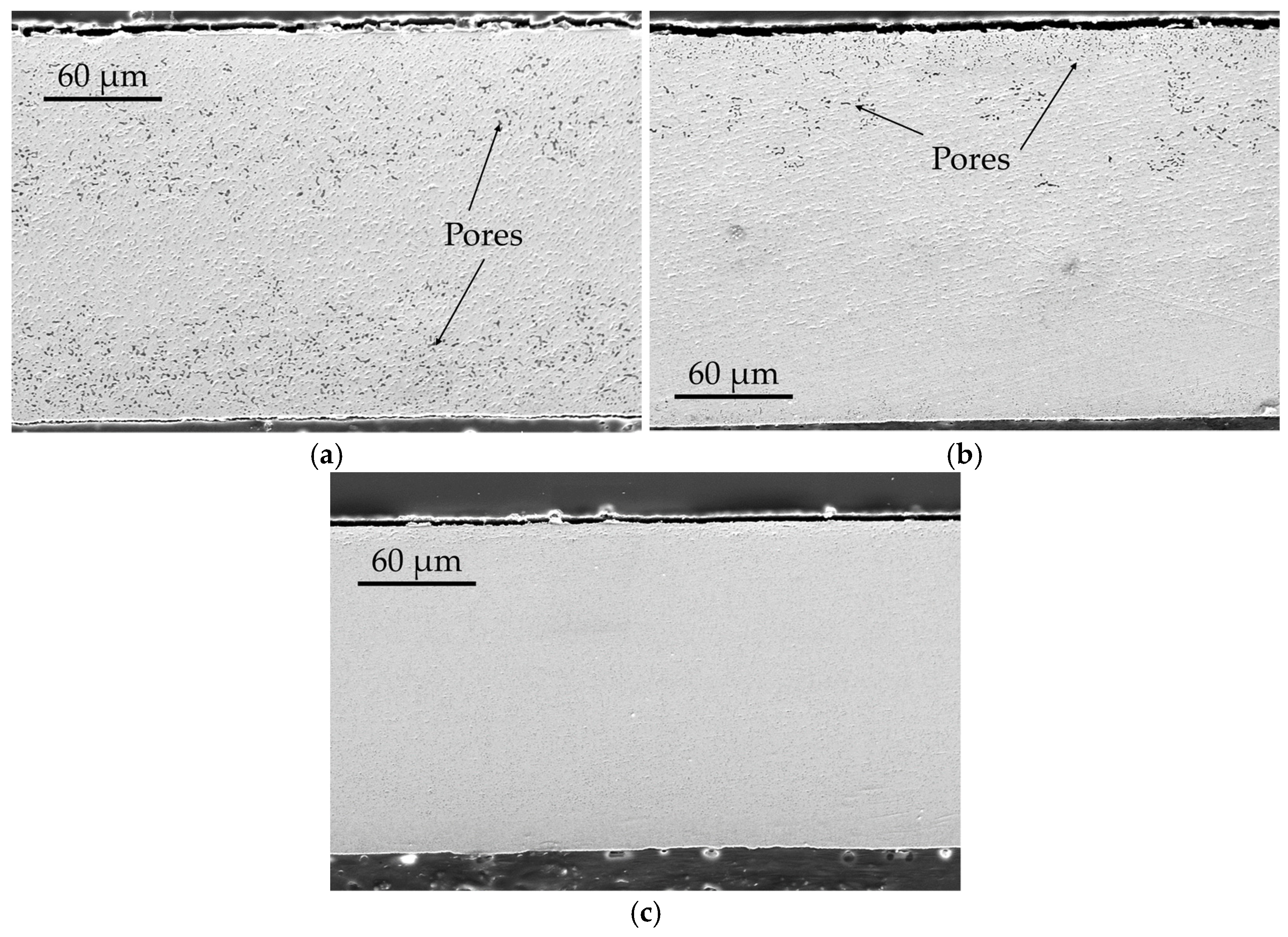 Preprints 77463 g015