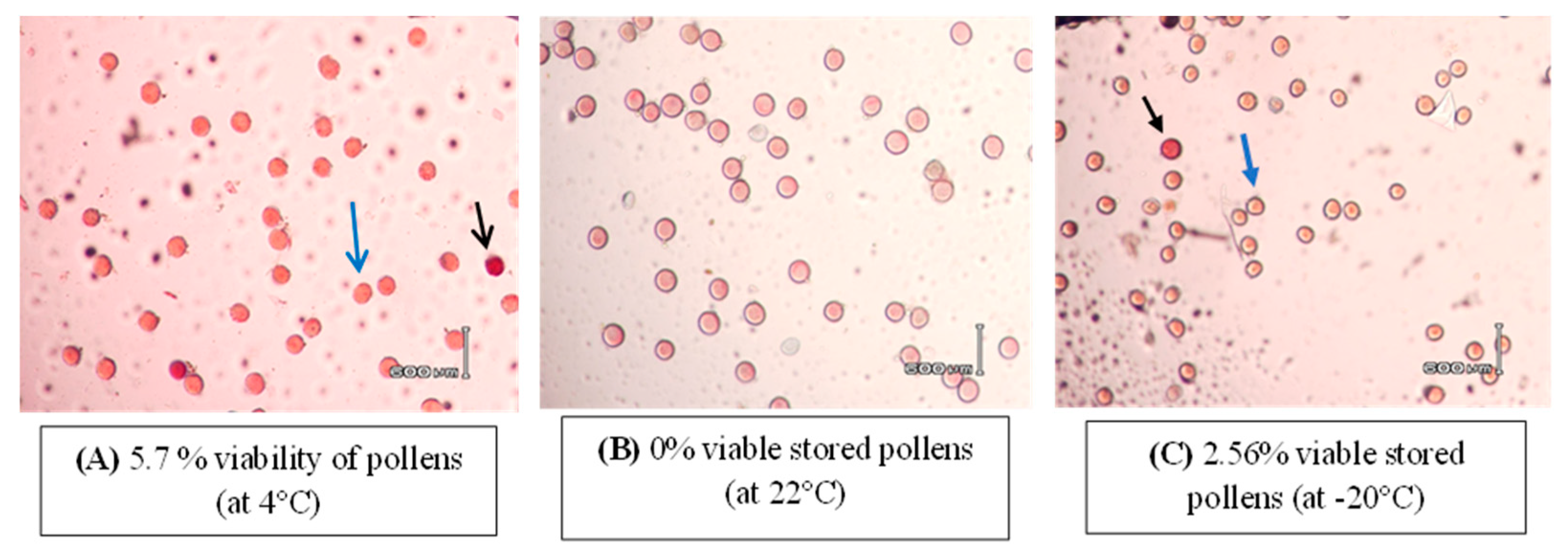 Preprints 92707 g001