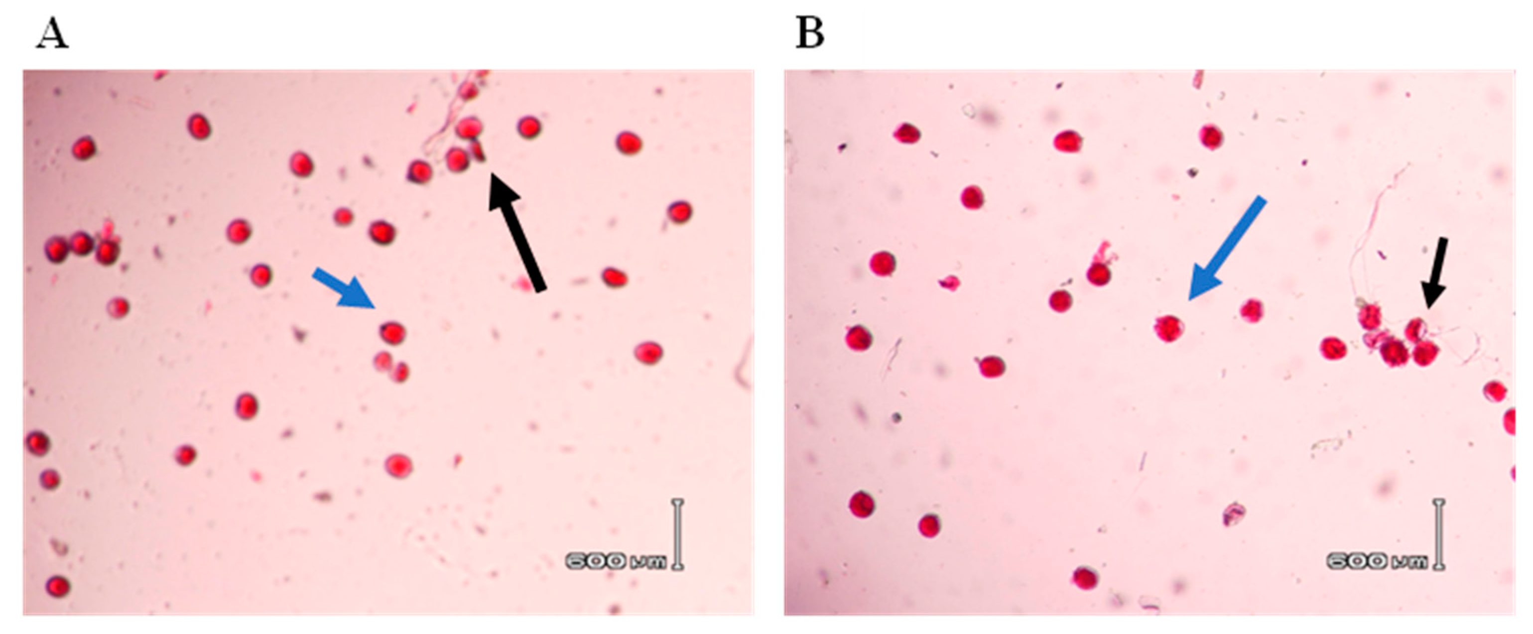 Preprints 92707 g002