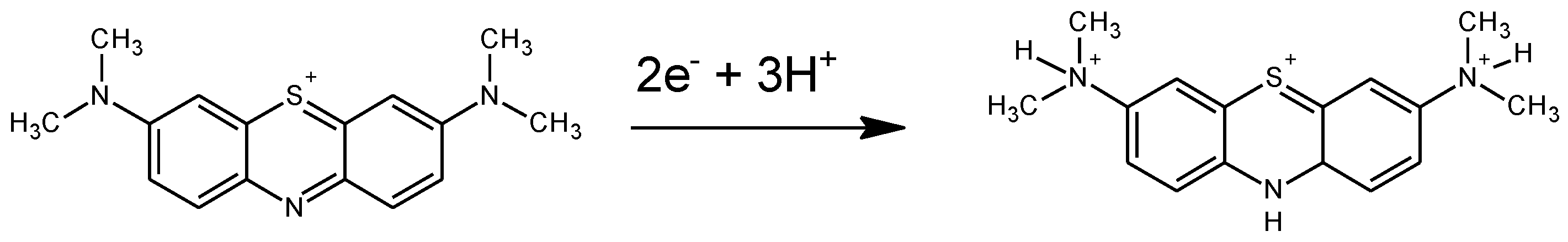 Preprints 111237 g012