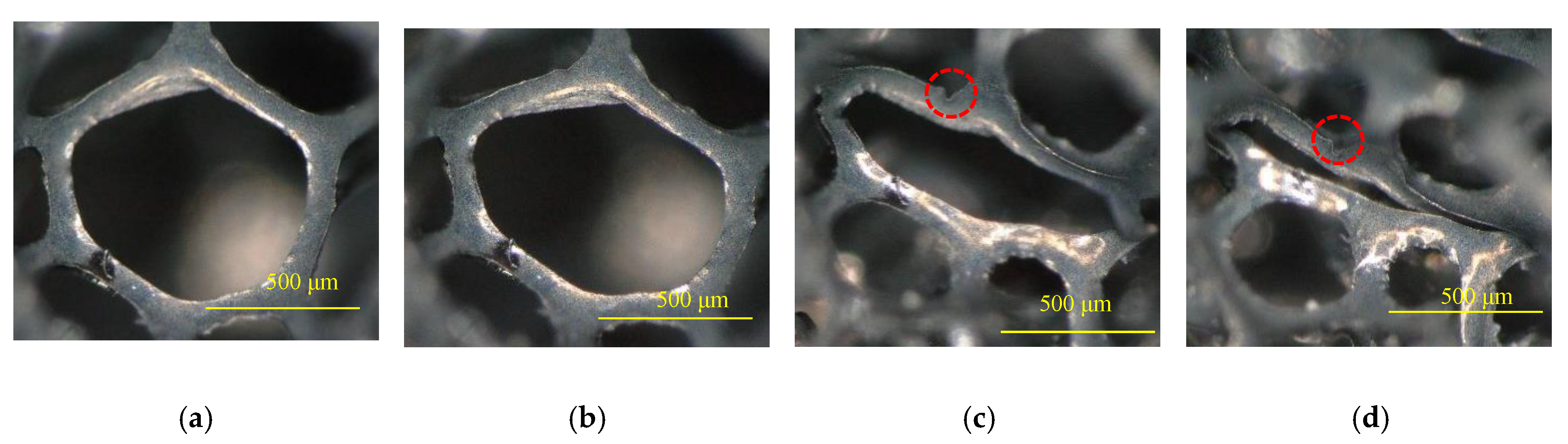 Preprints 72436 g008