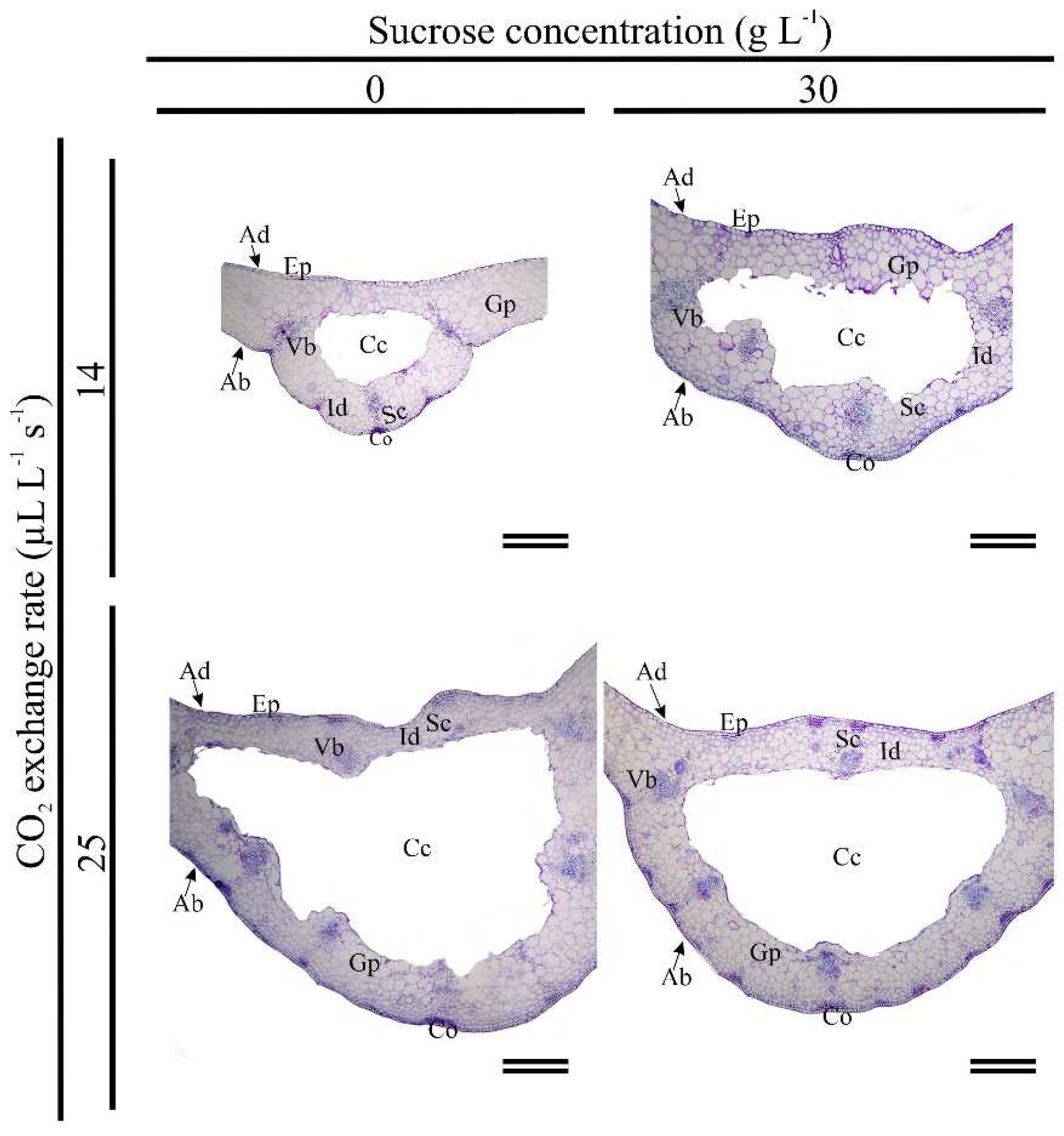 Preprints 94667 g006