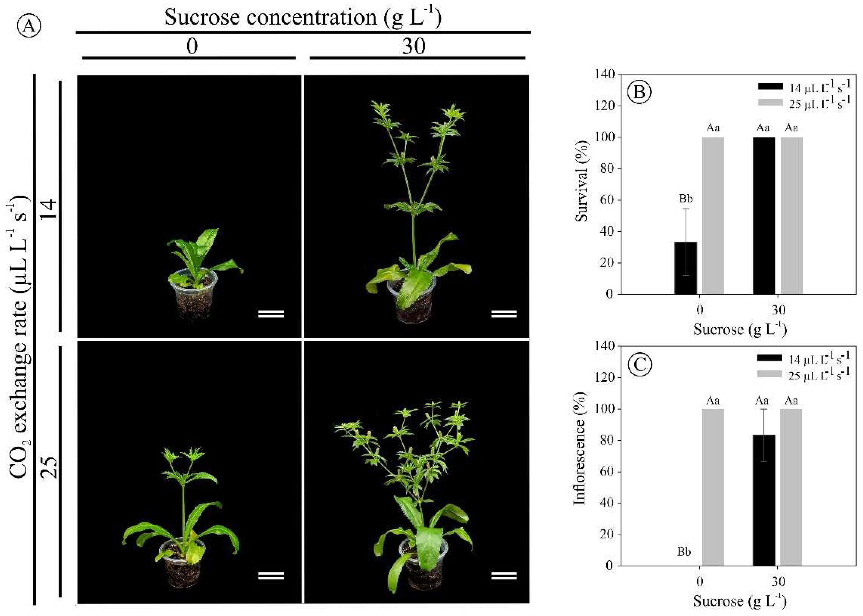 Preprints 94667 g007