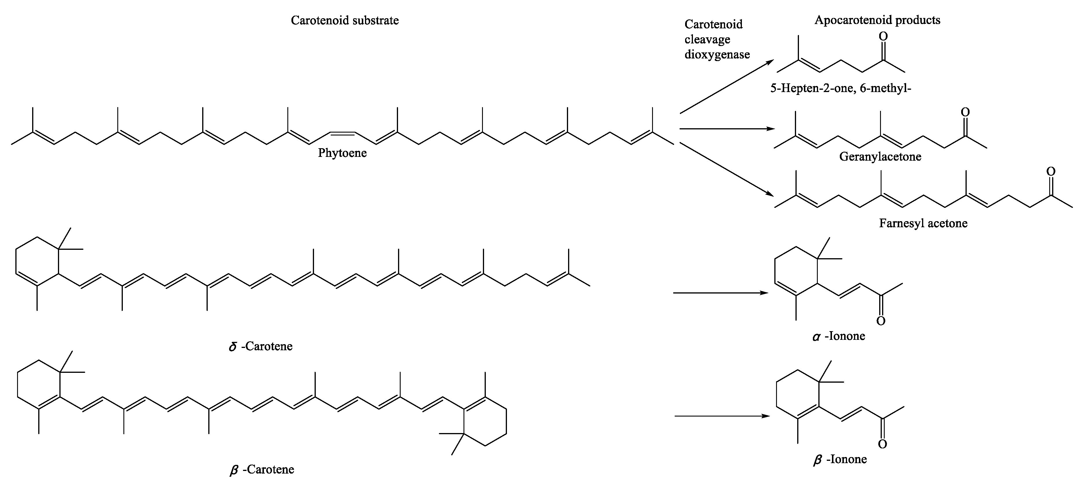 Preprints 108029 g010