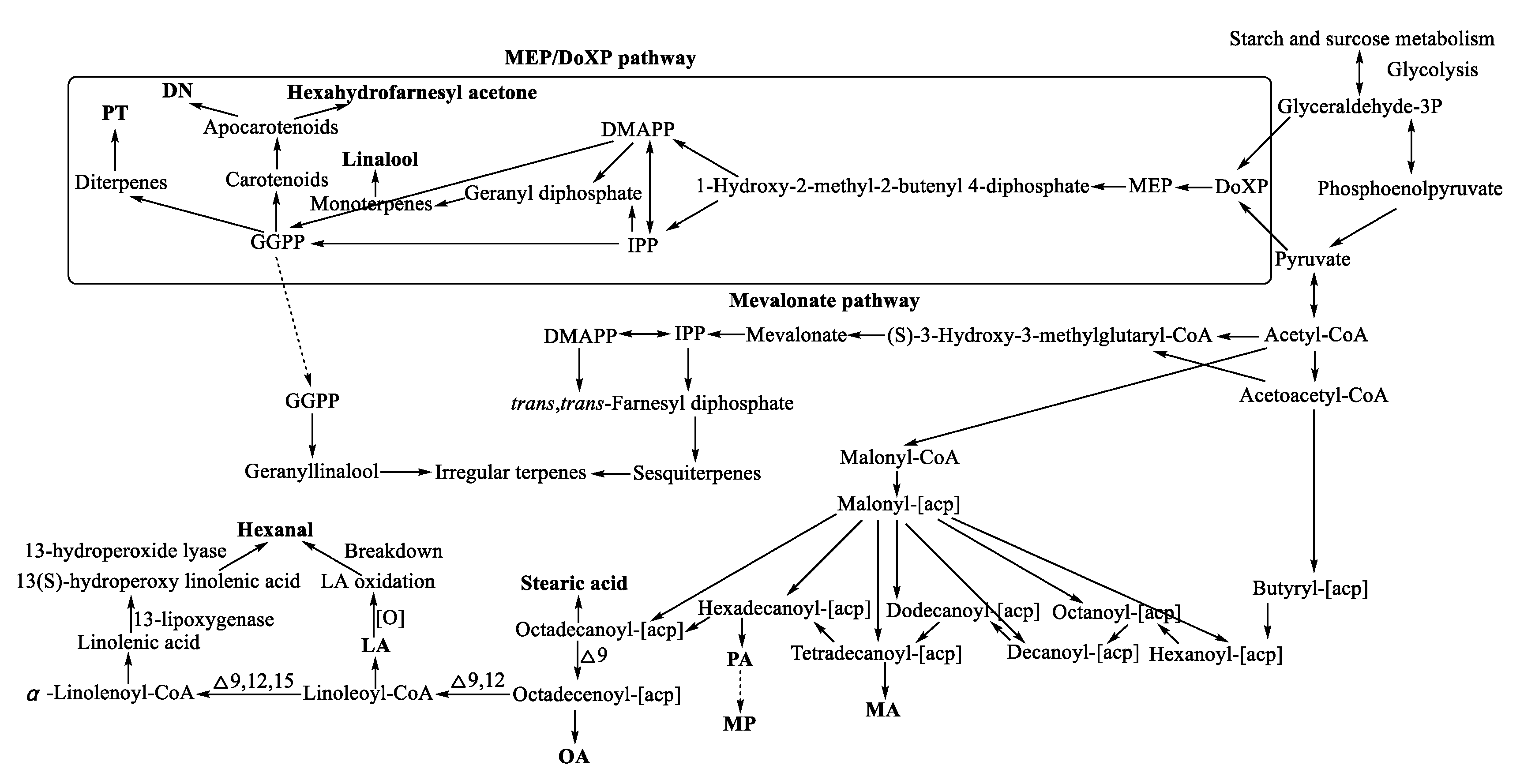 Preprints 108029 g011