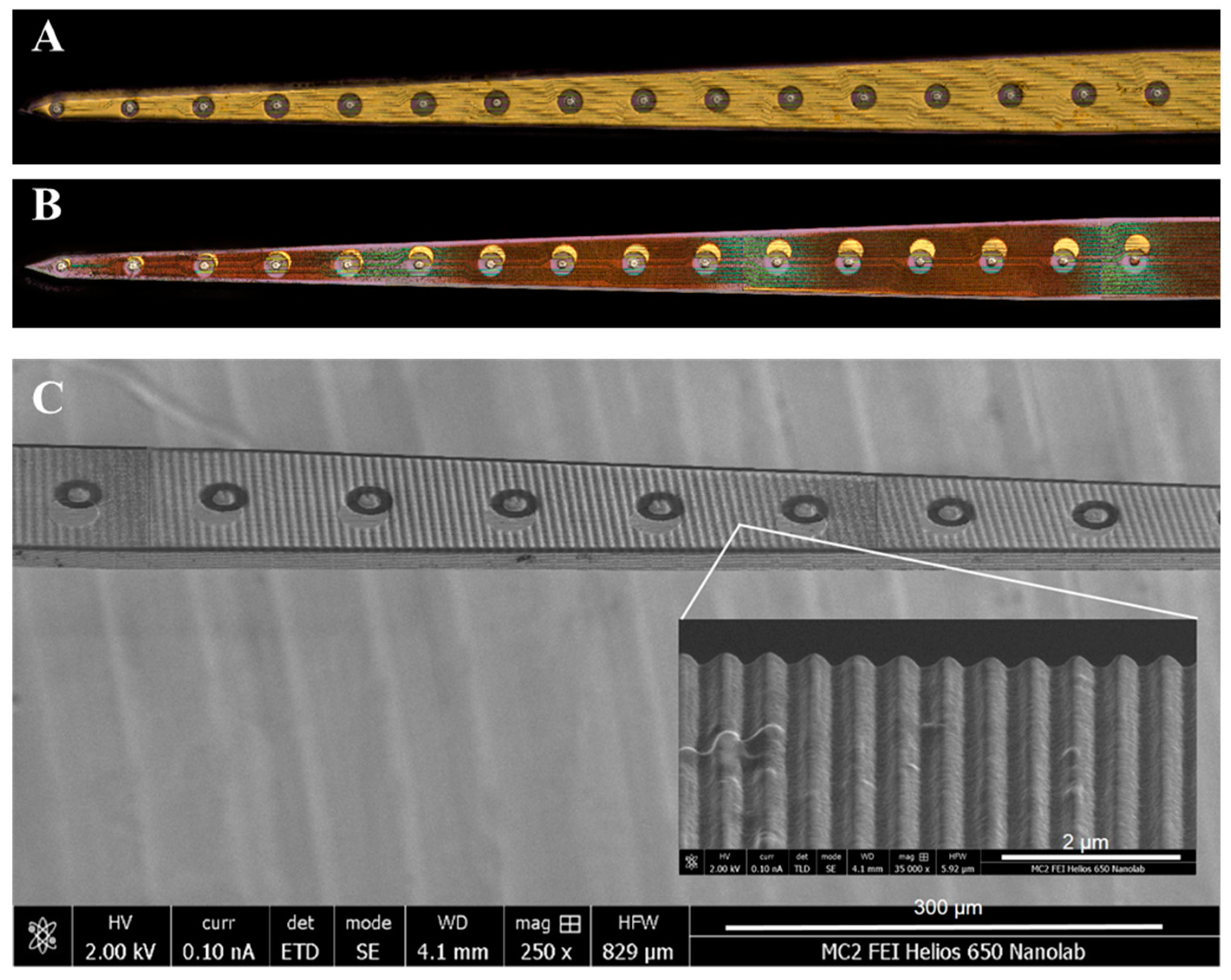 Preprints 96422 g001