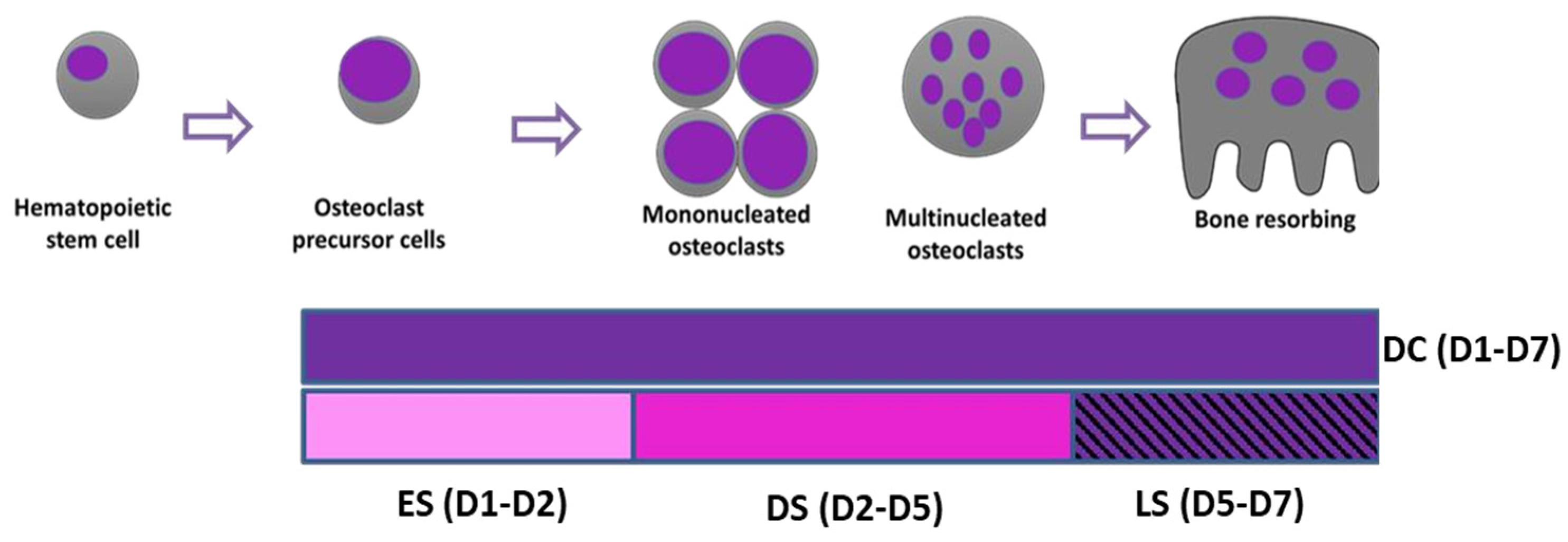 Preprints 90784 g001