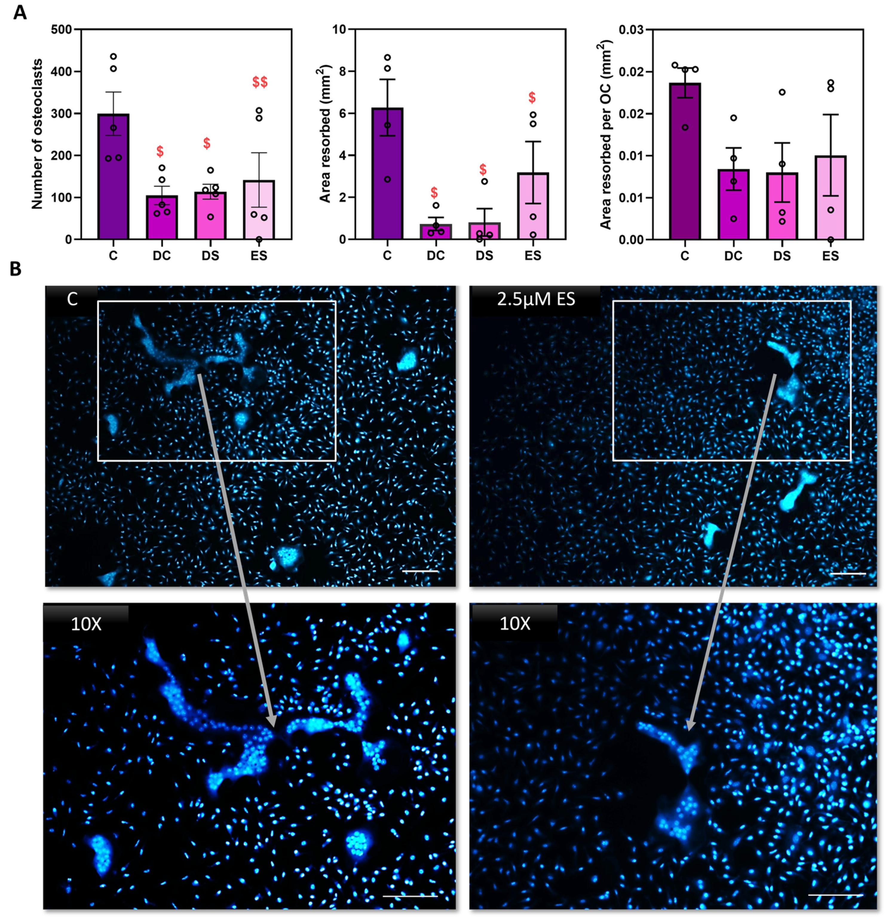 Preprints 90784 g003