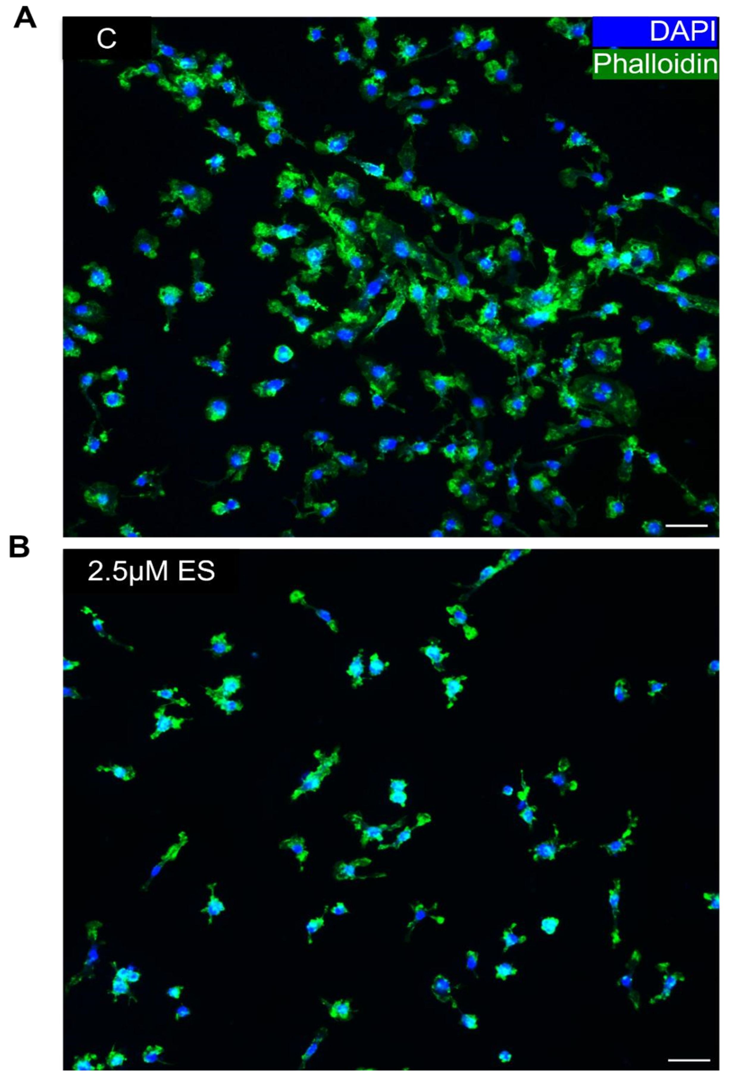 Preprints 90784 g004