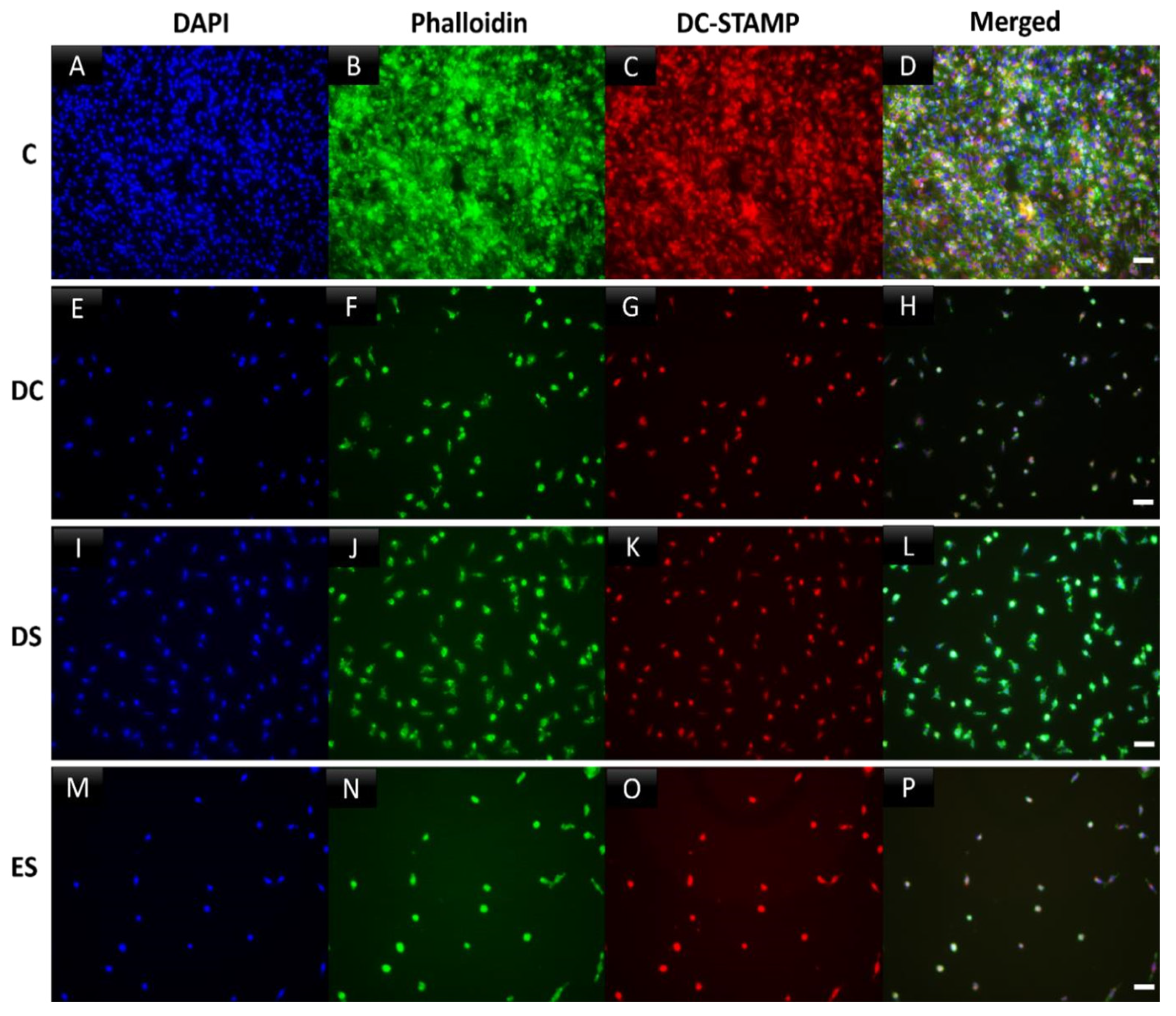 Preprints 90784 g005