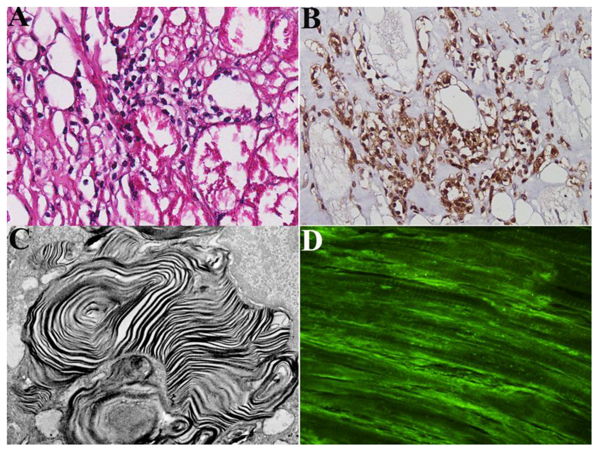 Preprints 71260 g001