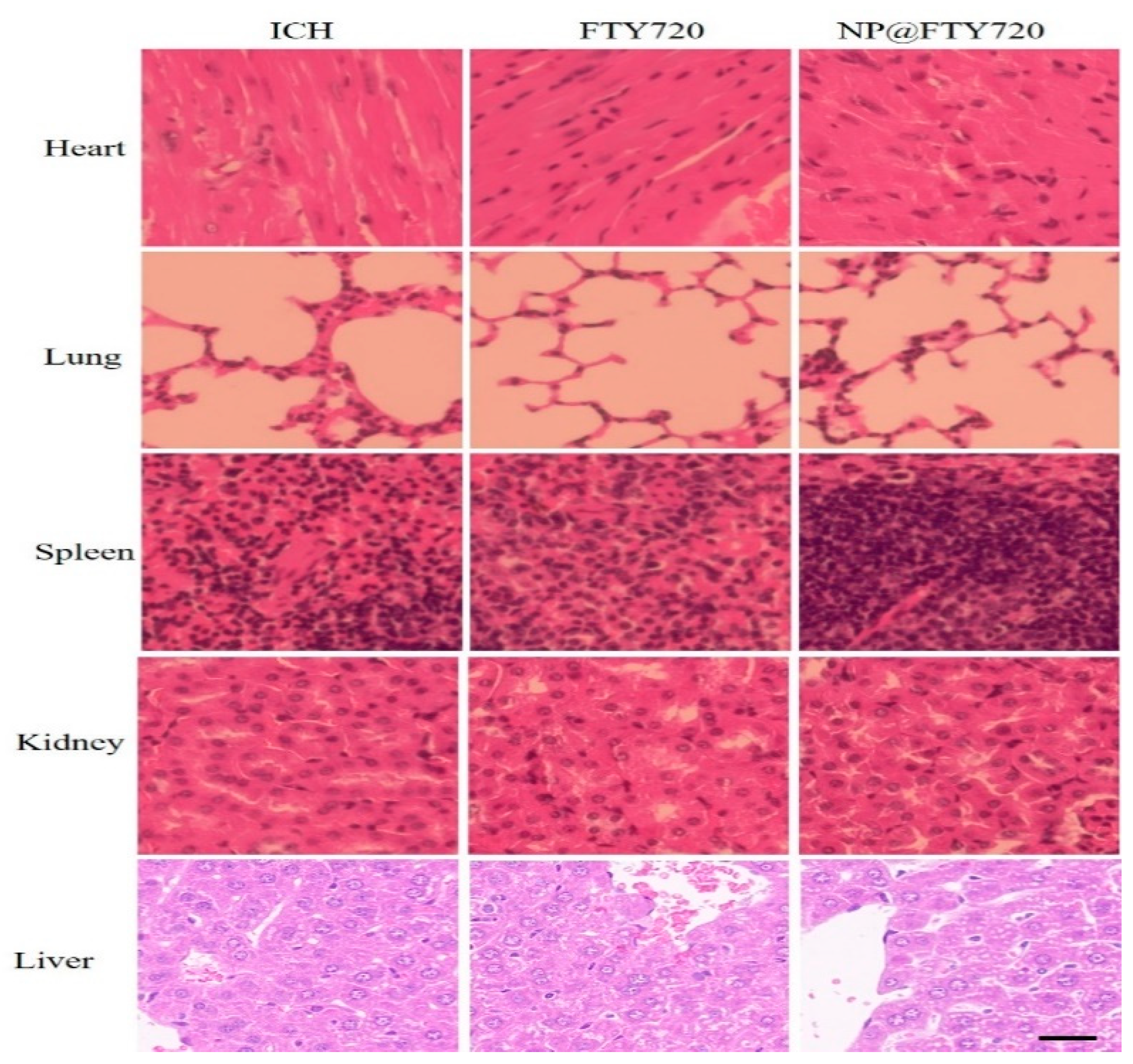 Preprints 78927 g005