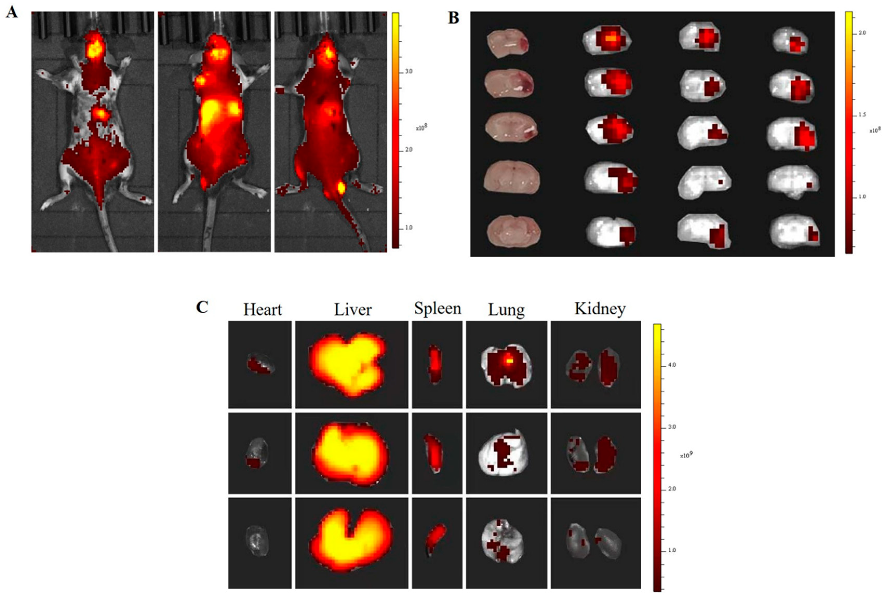 Preprints 78927 g006