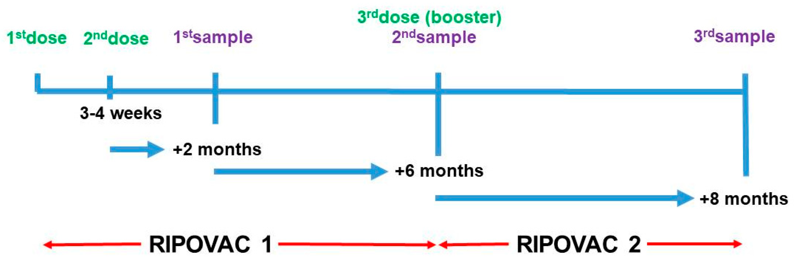 Preprints 75076 g001