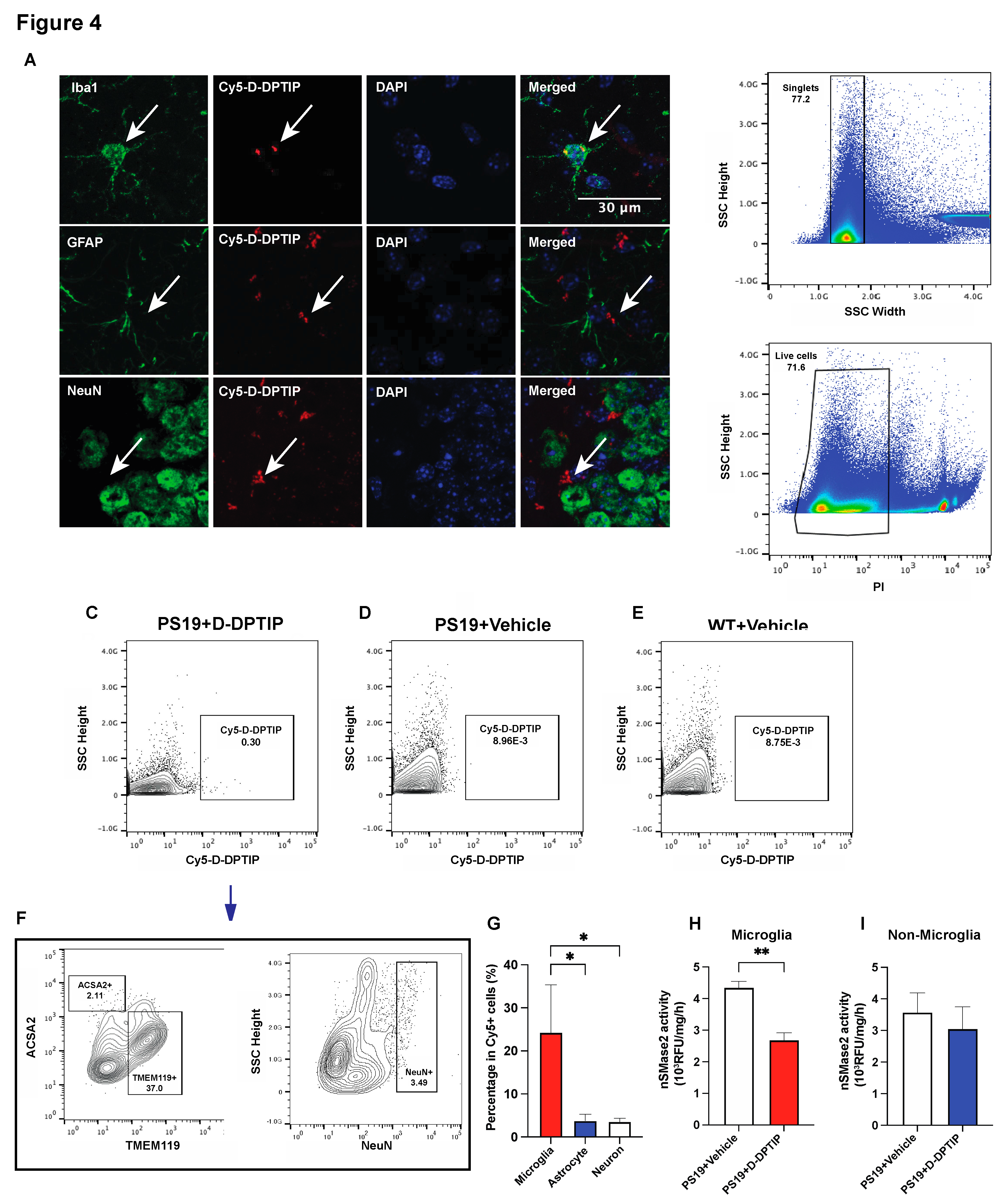 Preprints 82252 g004