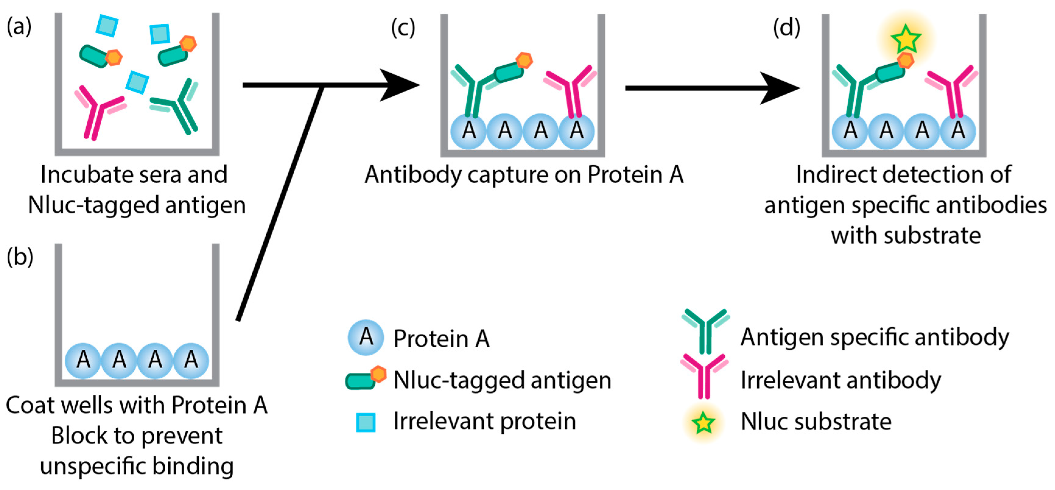 Preprints 69751 g001