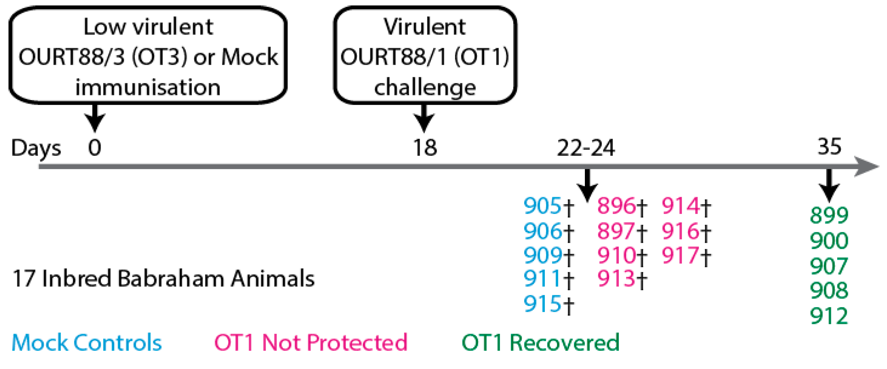 Preprints 69751 g002