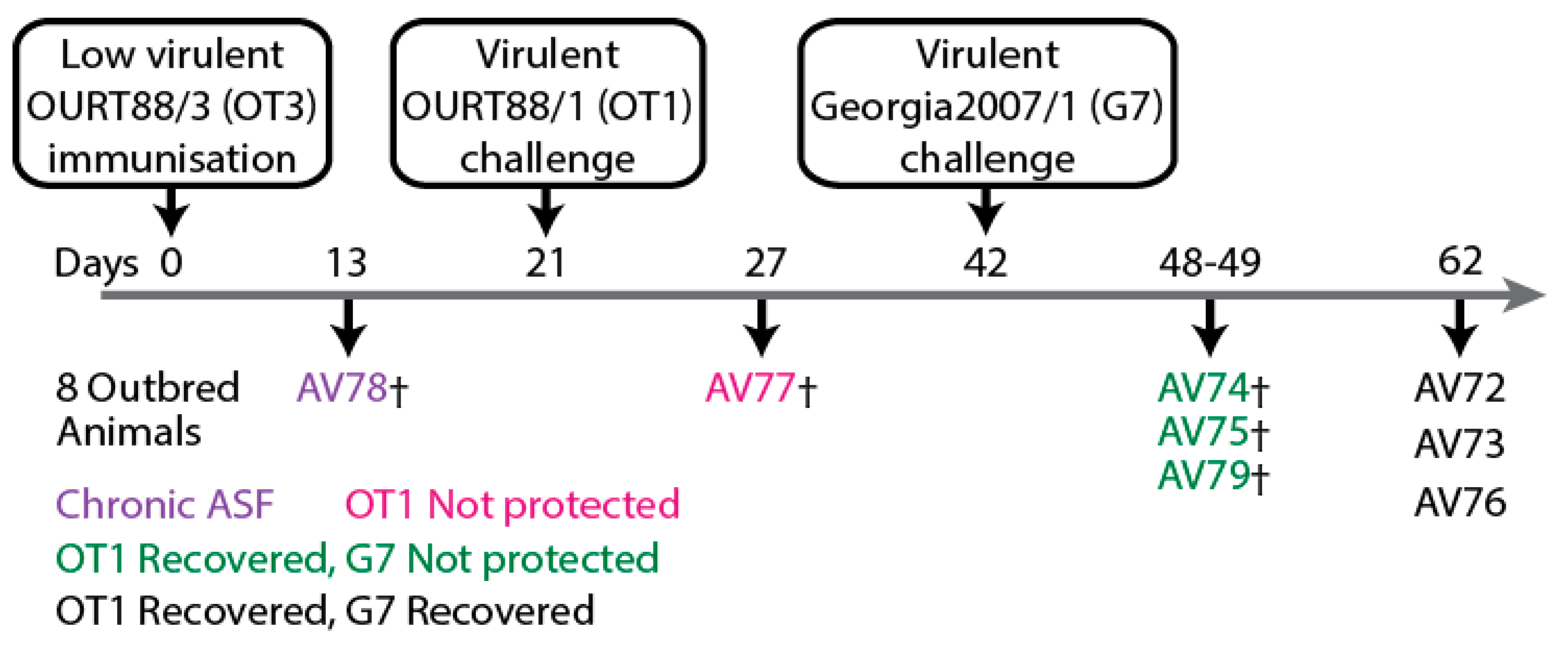 Preprints 69751 g006