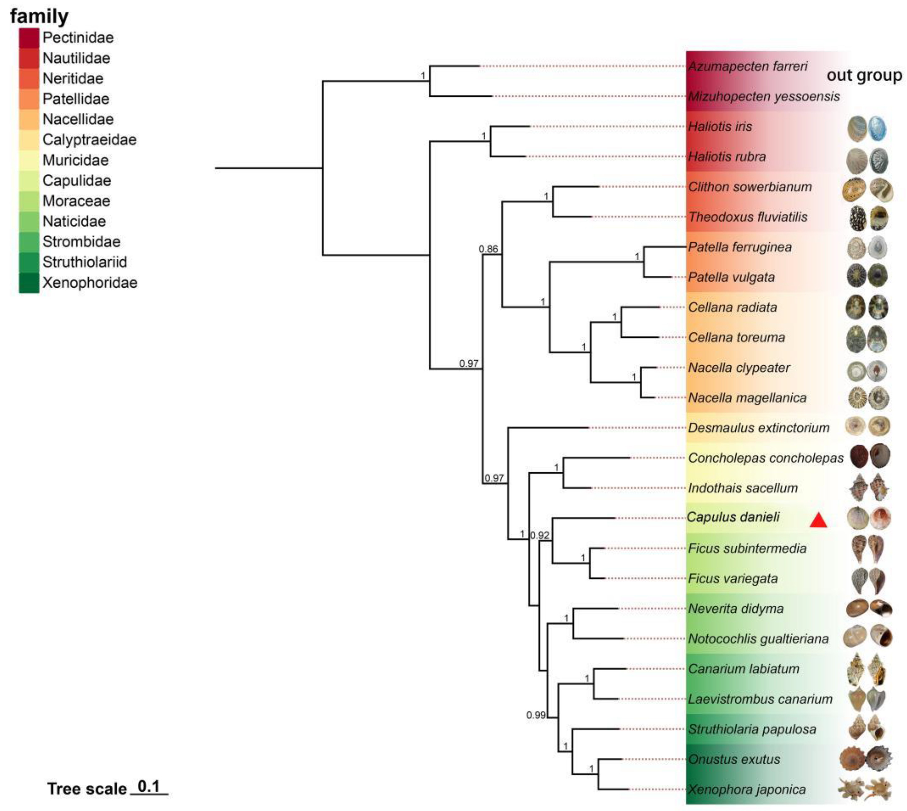 Preprints 114160 g005