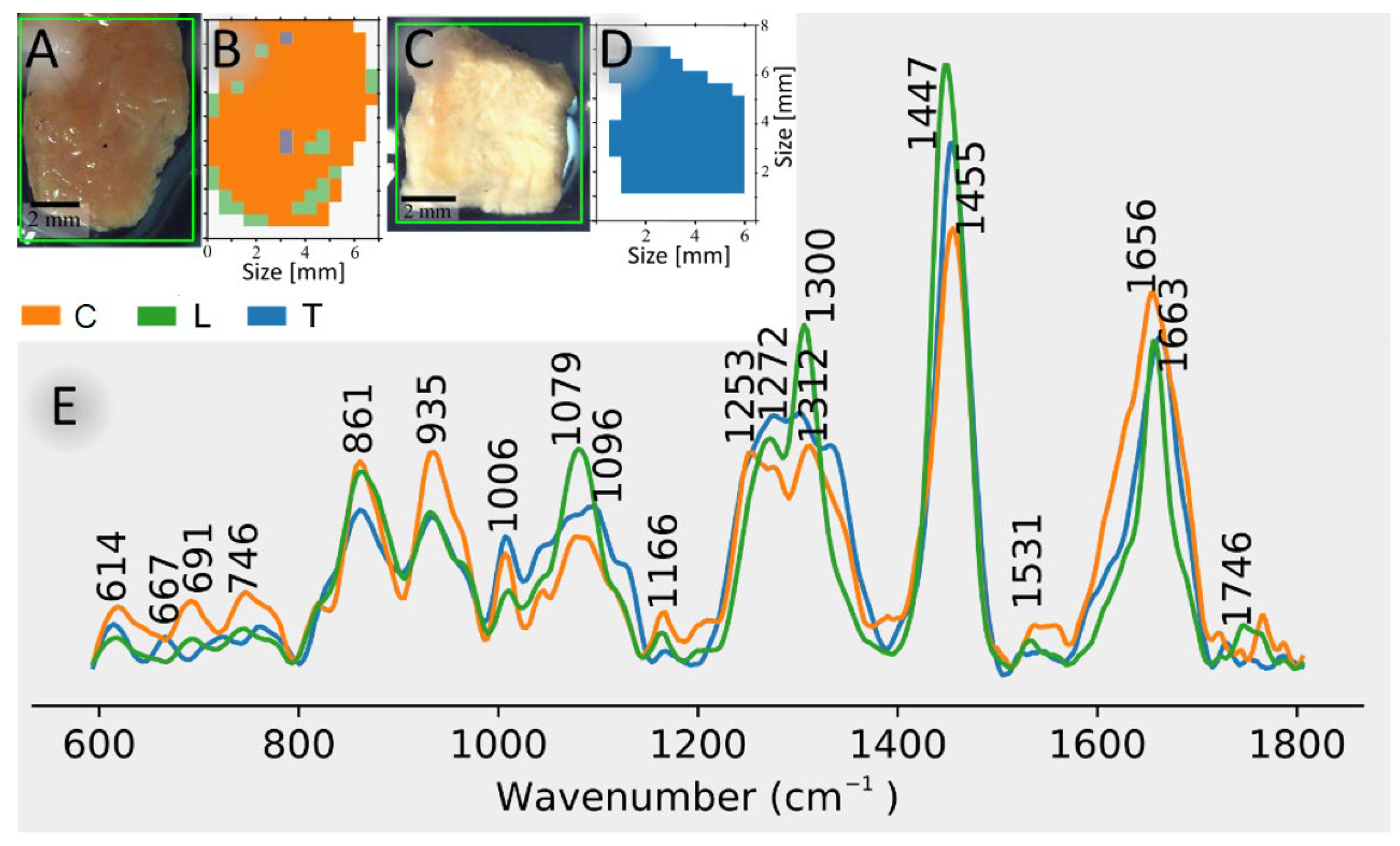 Preprints 103772 g002