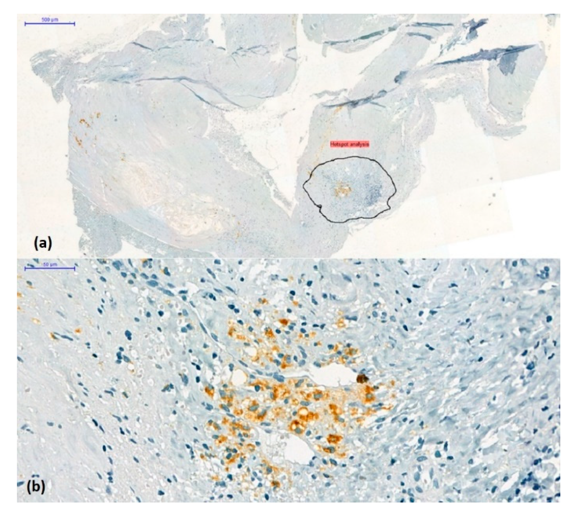 Preprints 84423 g004