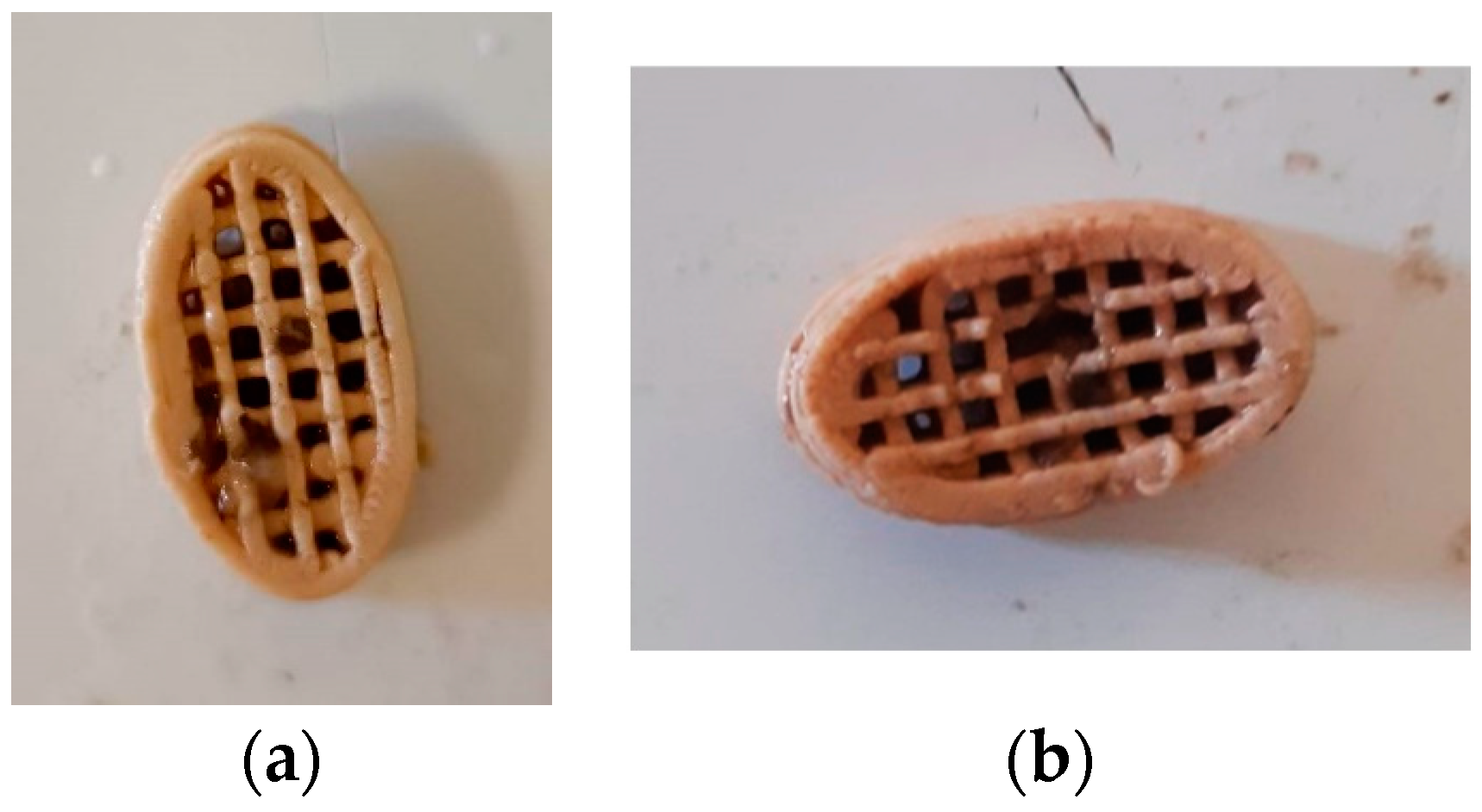 Preprints 75508 g014