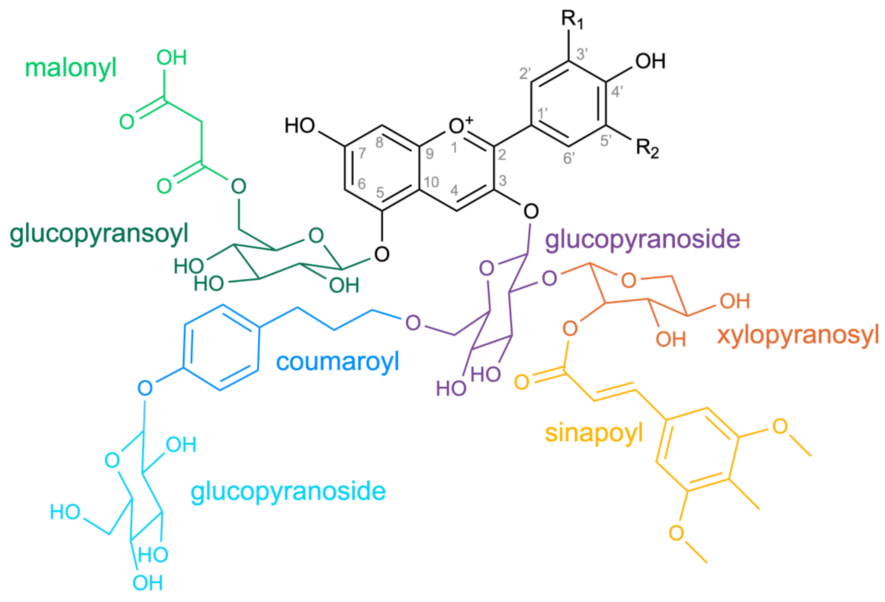 Preprints 116710 g001